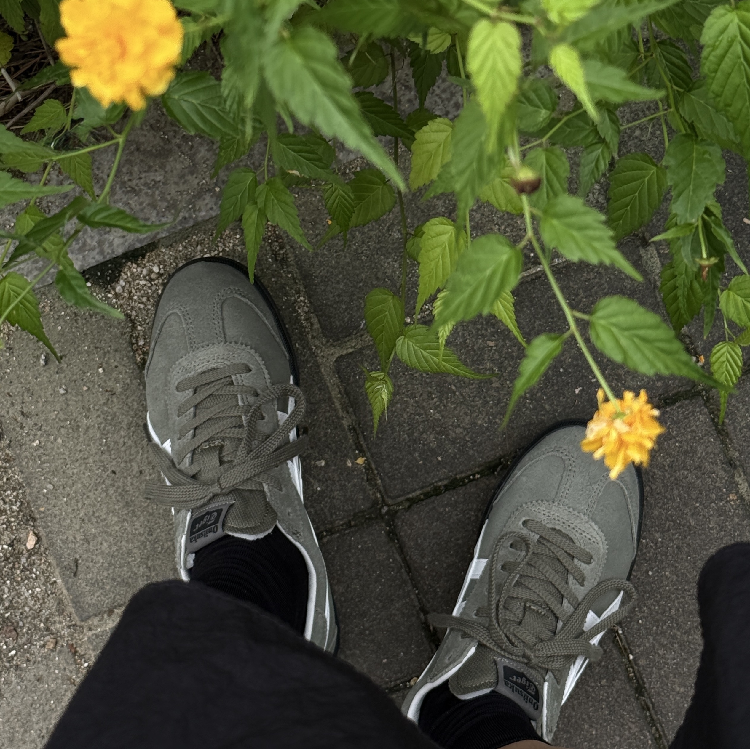 Onitsuka Tiger Tokuten Burnt Green 착용 스타일