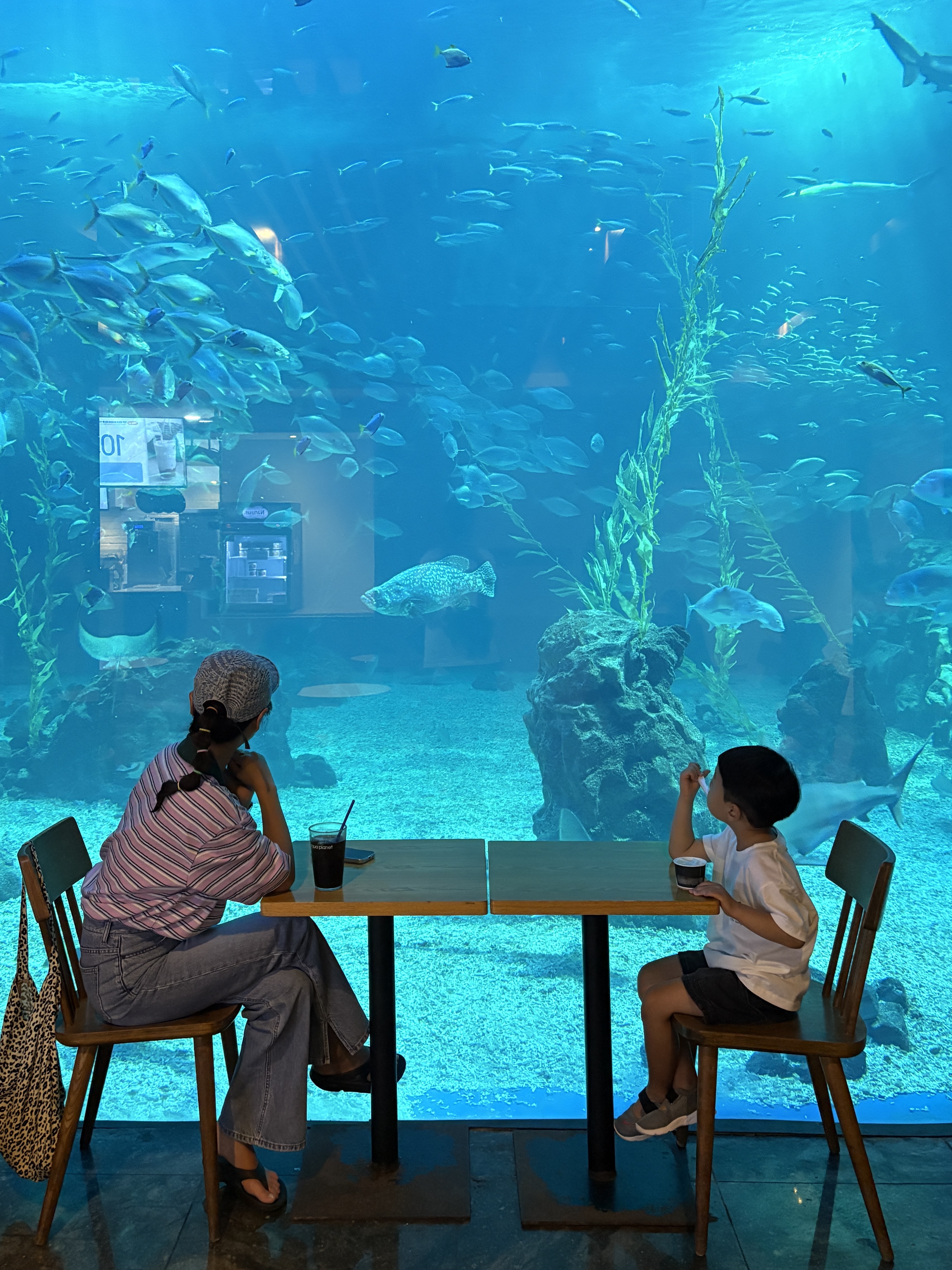 Supreme Circles Jacquard Denim Camp Cap Blue - 21FW, Oofos OOriginal Black 착용 스타일 - 8