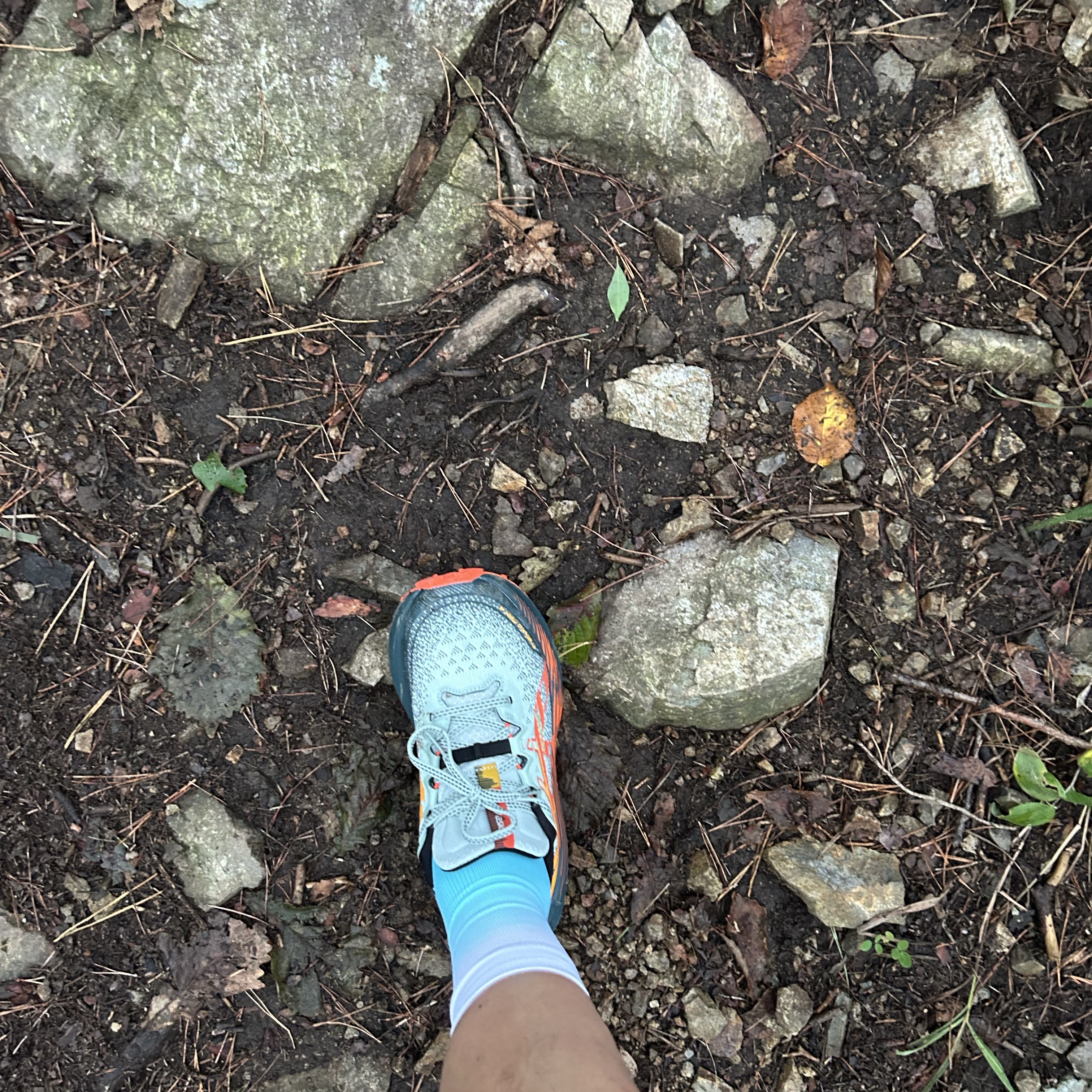 Asics Trabuco Max 4 Cold Moss Nova Orange 착용 스타일
