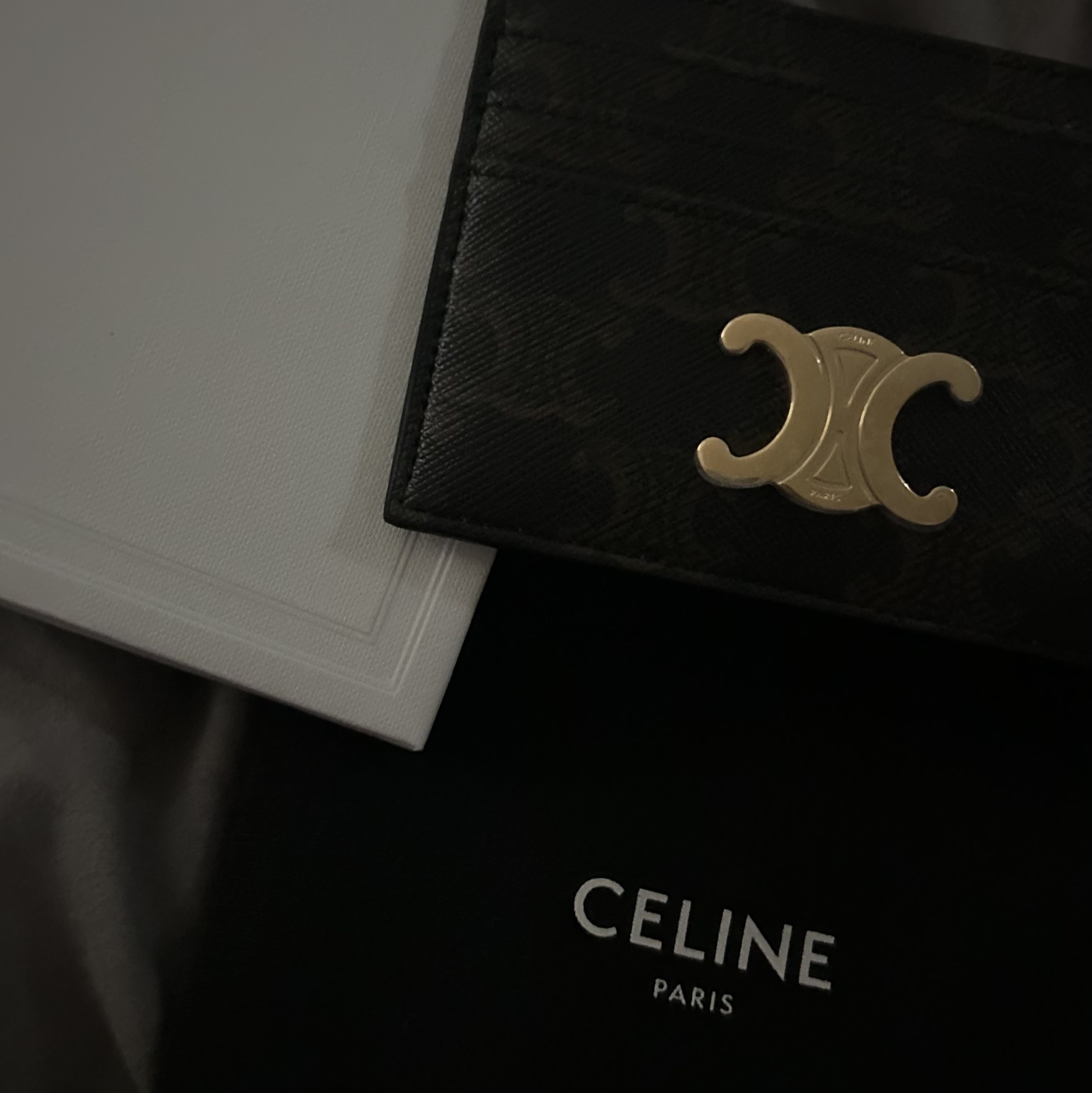 Celine Triomphe Card Holder in Triomphe Canvas Tan 착용 스타일