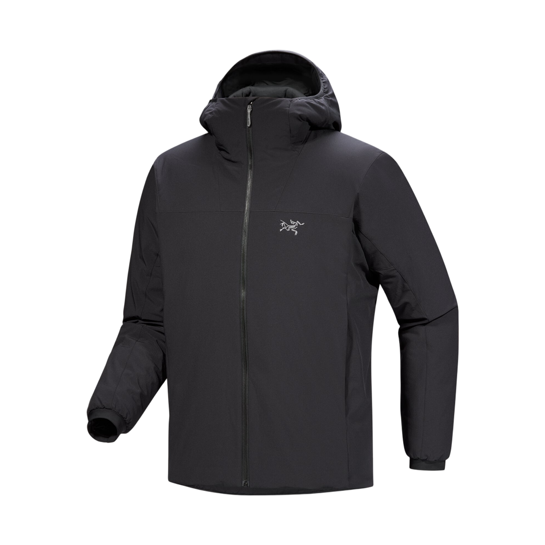 아크테릭스 앱실론 인슐레이티드 후디 블랙