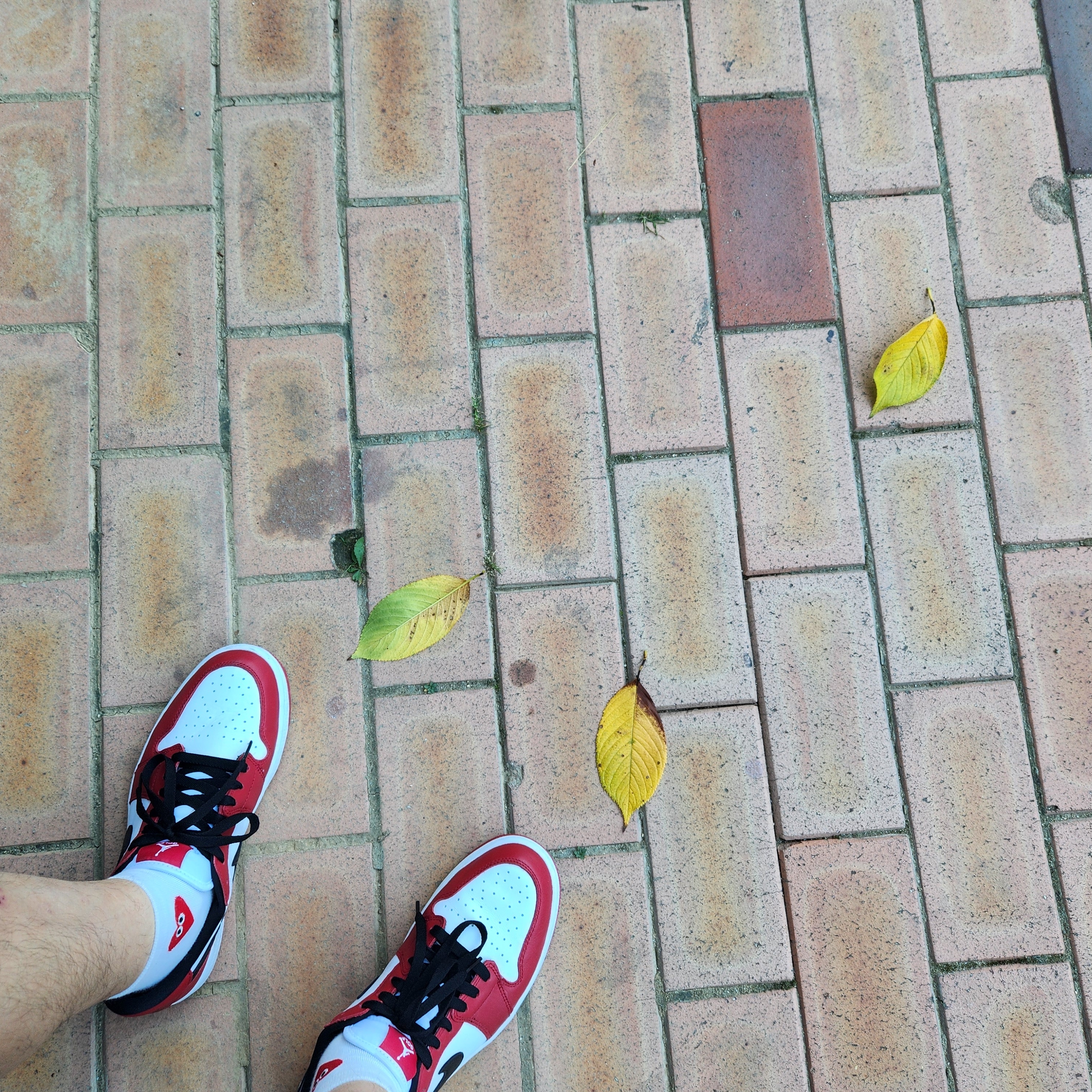 Jordan 1 Low Golf Chicago 착용 스타일