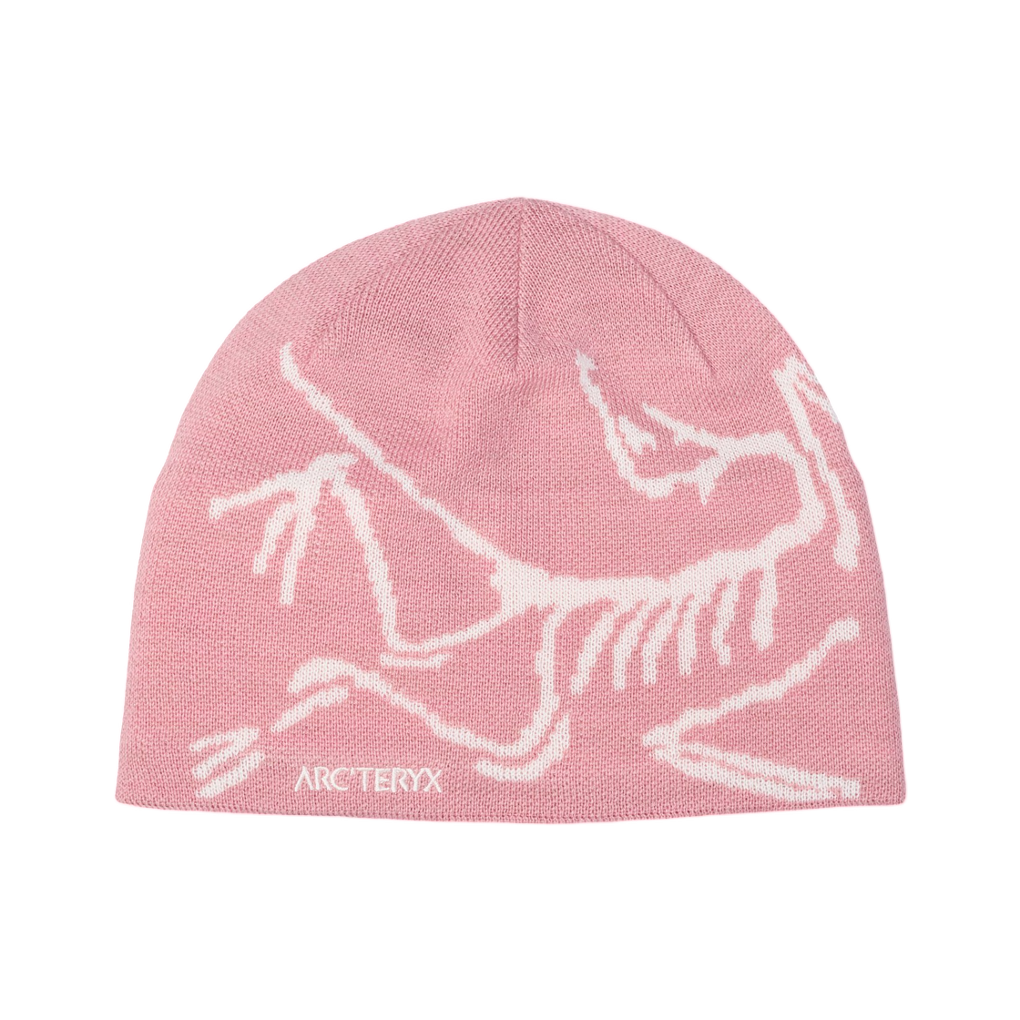 6756 Arc'teryx Bird Head Toque Bliss Arctic Silk