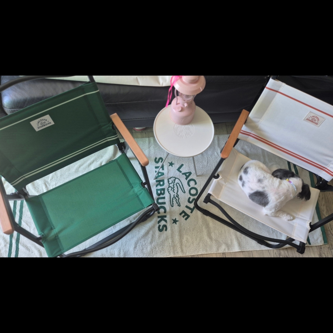 Starbucks x Lacoste Wide Folding Chair Green 착용 스타일