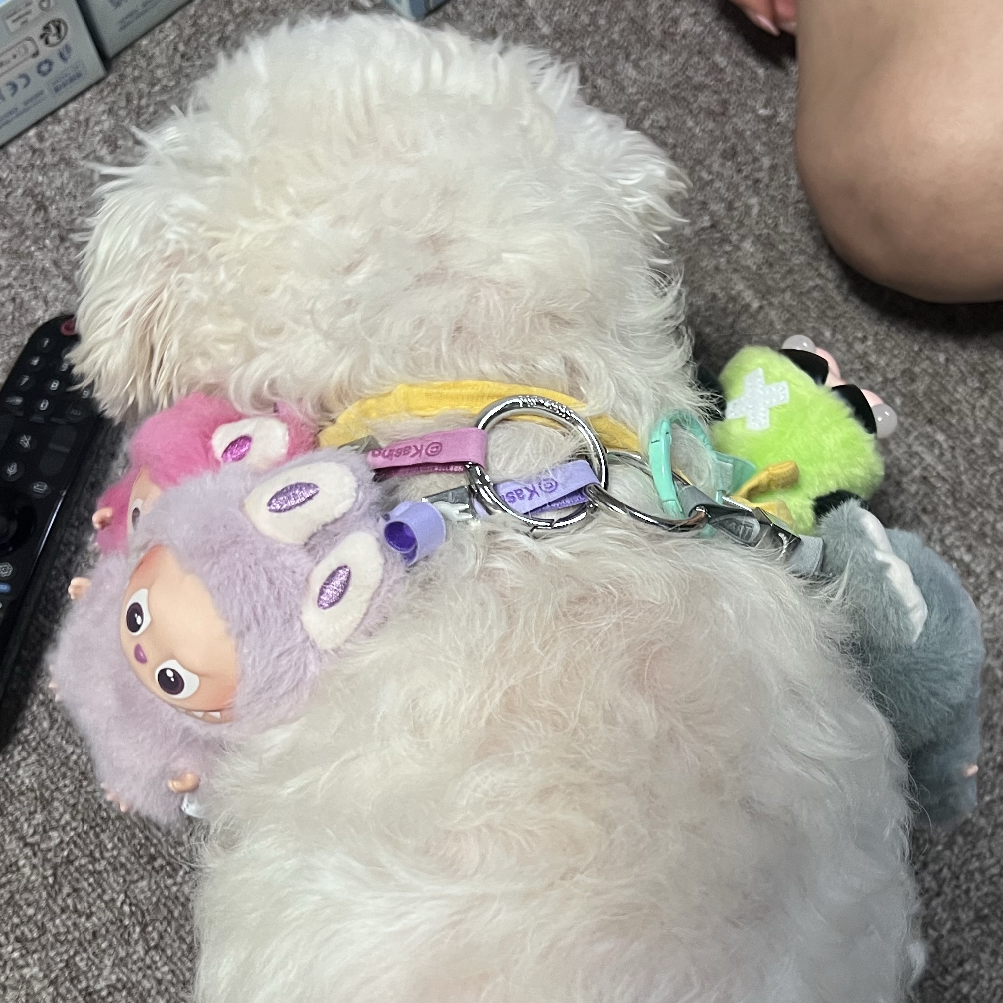 Pop Mart Labubu The Monsters Pin For Love Series Vinyl Plush Pendant Sealed Case (N-Z) (14 Blind Boxes), Pop Mart Labubu The Monsters Pin For Love Series Vinyl Plush Pendant Sealed Case (A-M) (14 Blind Boxes) 착용 스타일