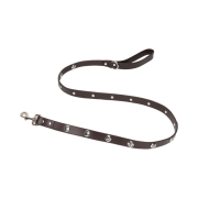 Stussy Studded Dog Leash Brown