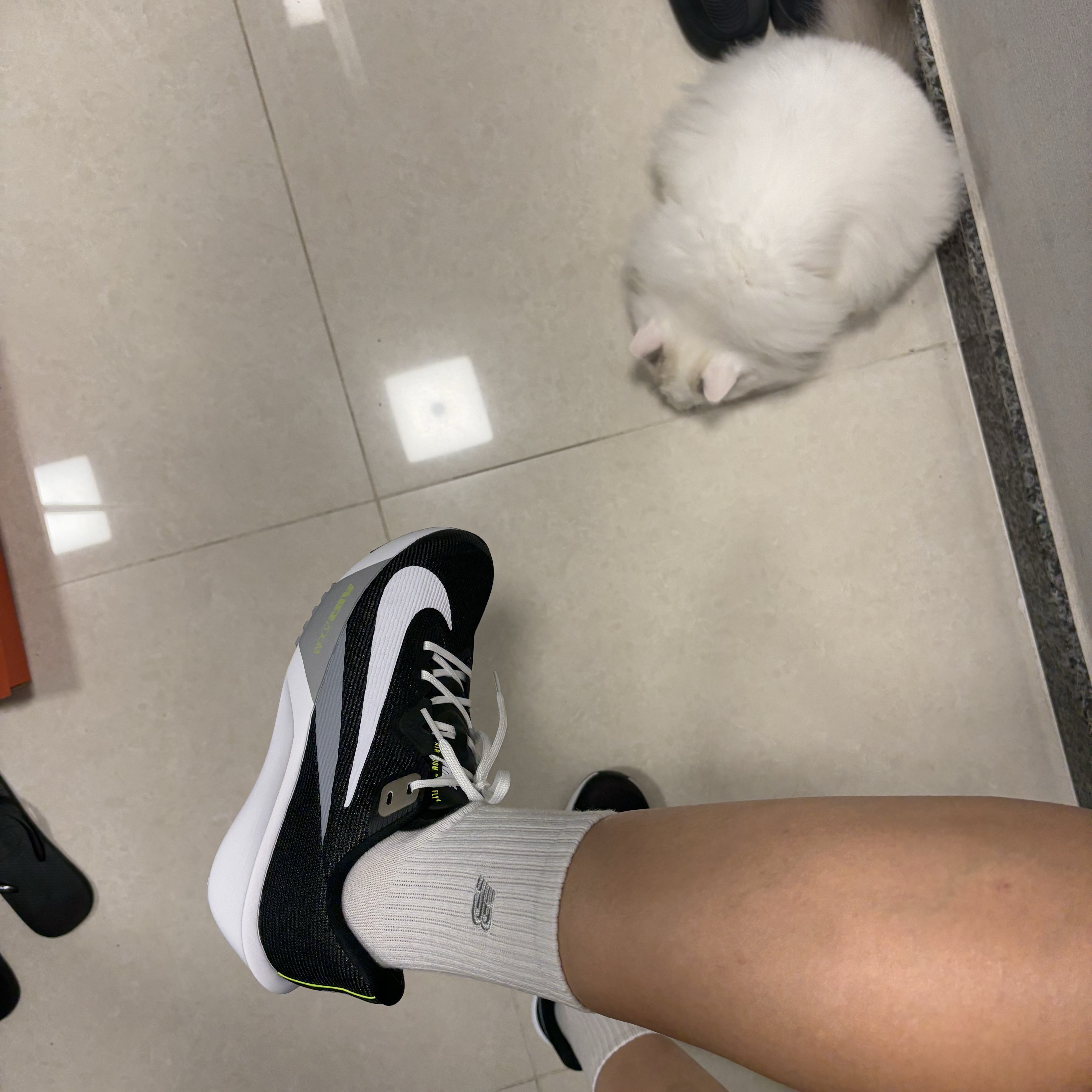 Nike Air Zoom Rival Fly 4 Black Wolf Grey 착용 스타일 - 2