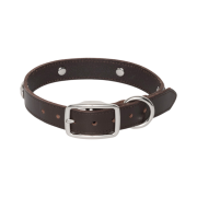 Stussy Studded Dog Collar Brown