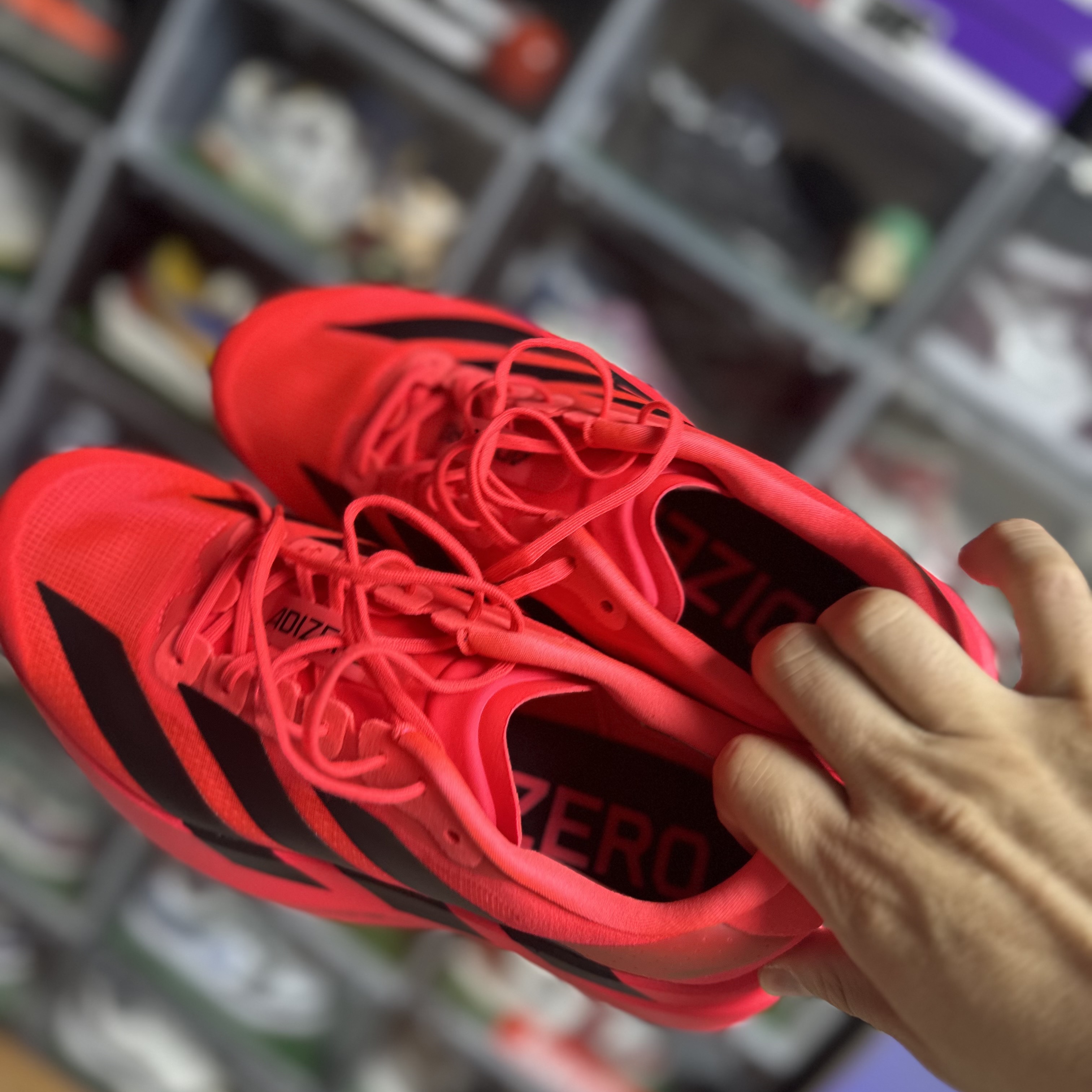 Adidas Adizero Evo SL Lucid Red Core Black 착용 스타일 - 3