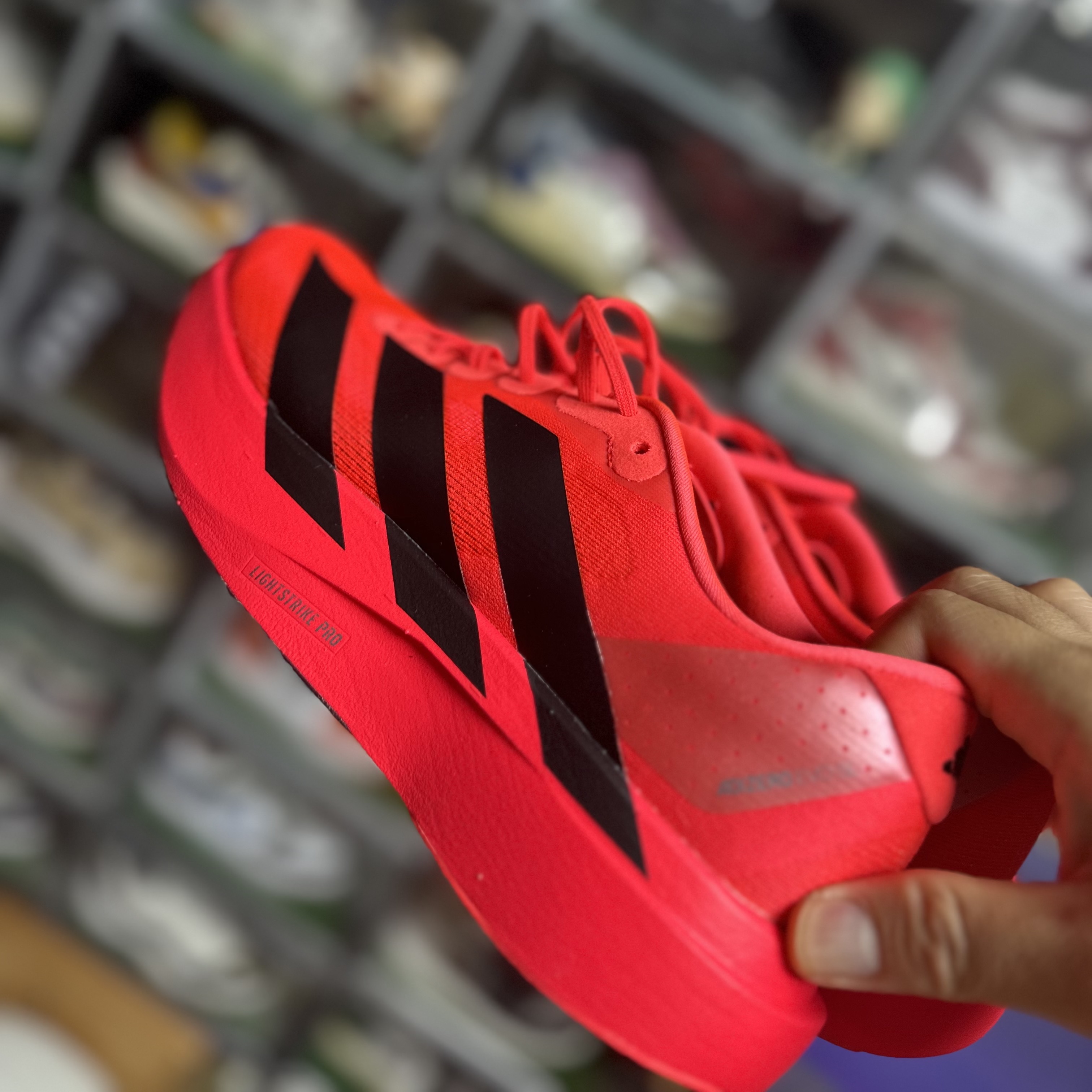 Adidas Adizero Evo SL Lucid Red Core Black 착용 스타일 - 1