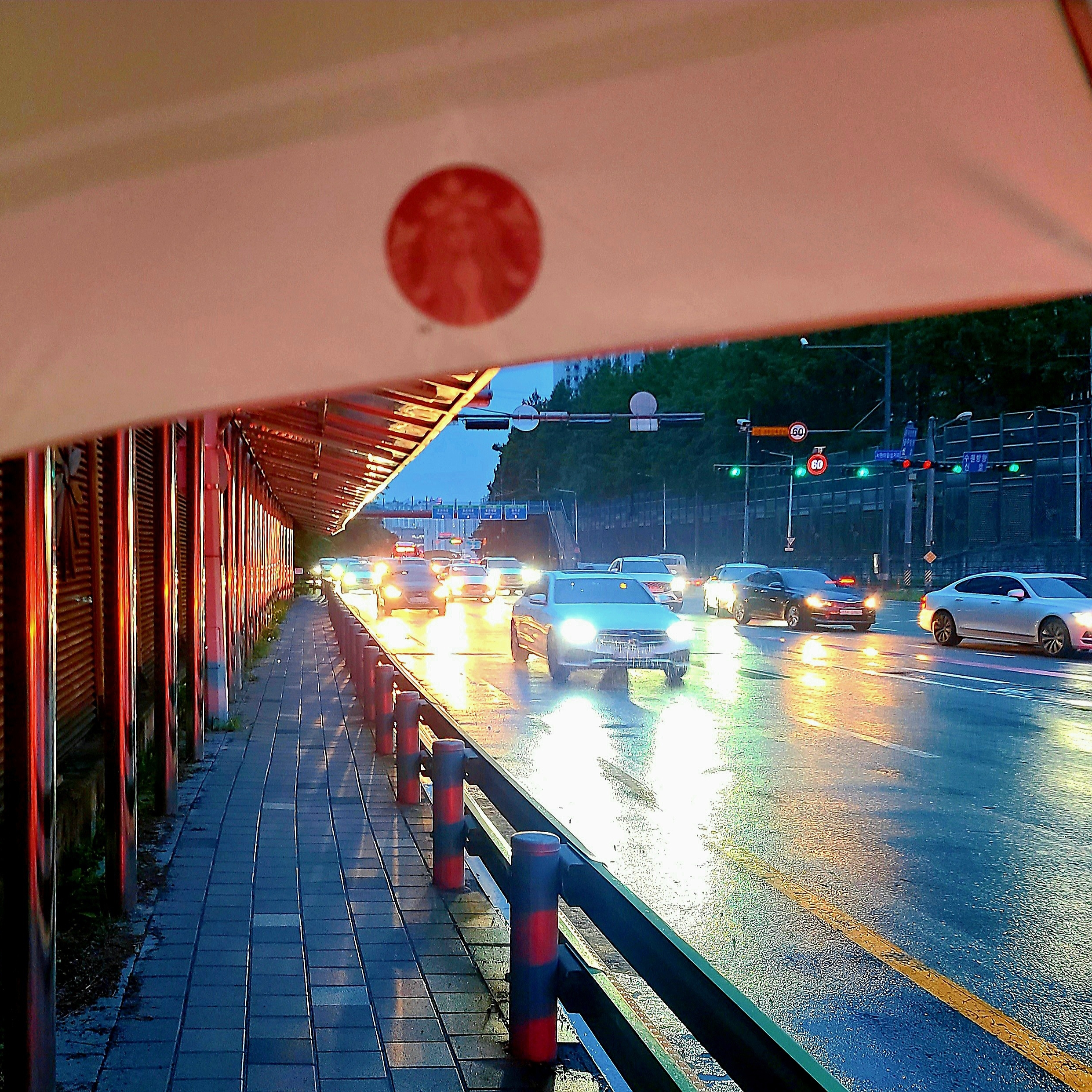Starbucks Daily 3 Step Umbrella Apple Mint 착용 스타일 - 2