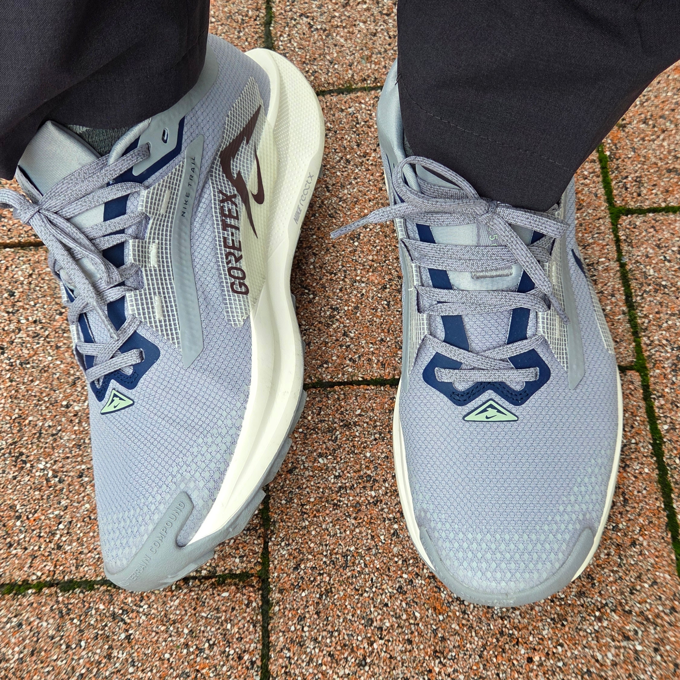 Nike Pegasus Trail 5 Gore-Tex Cement Grey Jade Horizon 착용 스타일