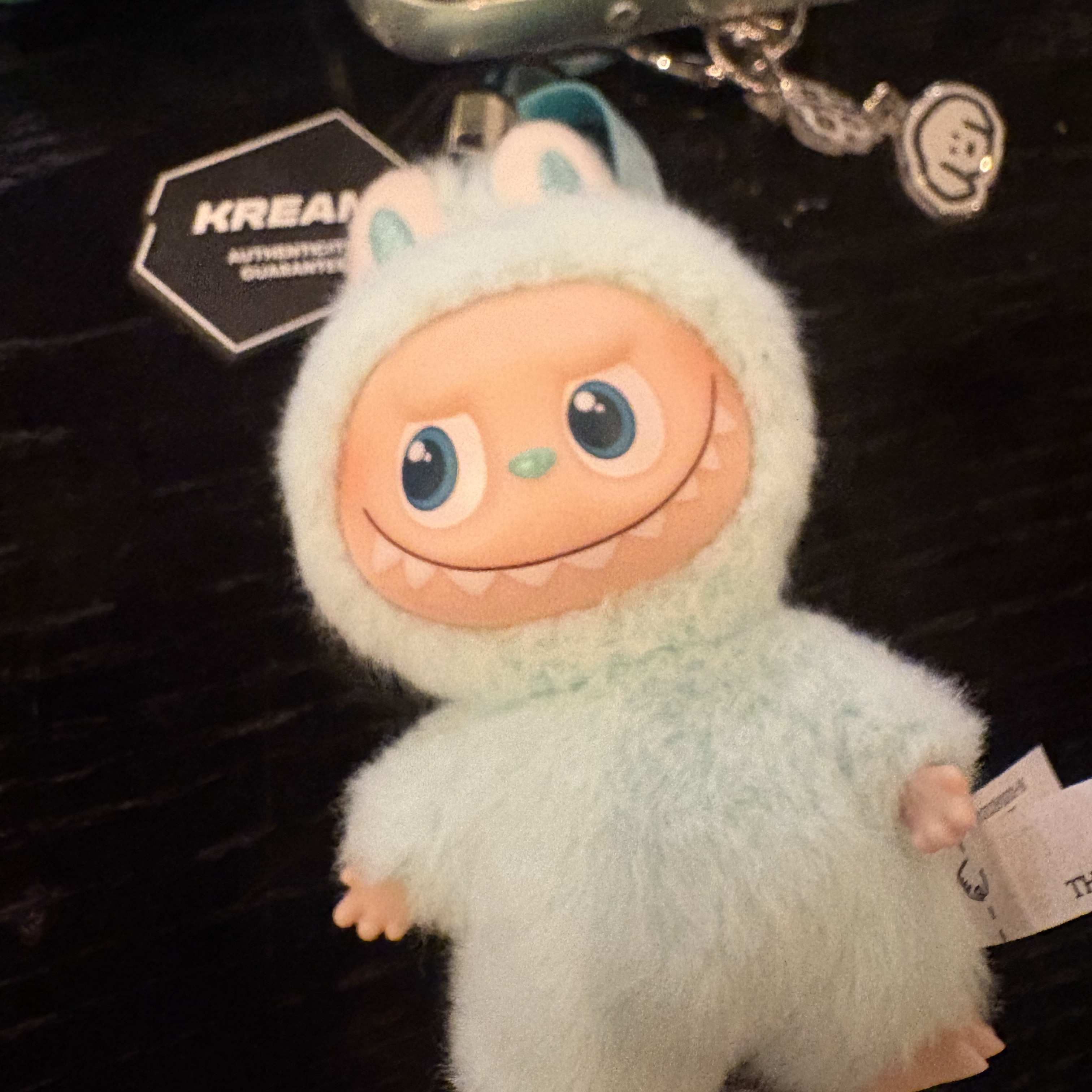 Pop Mart Labubu The Monsters Pin For Love Series Vinyl Plush Pendant (A-M) I (Opened Case) 착용 스타일