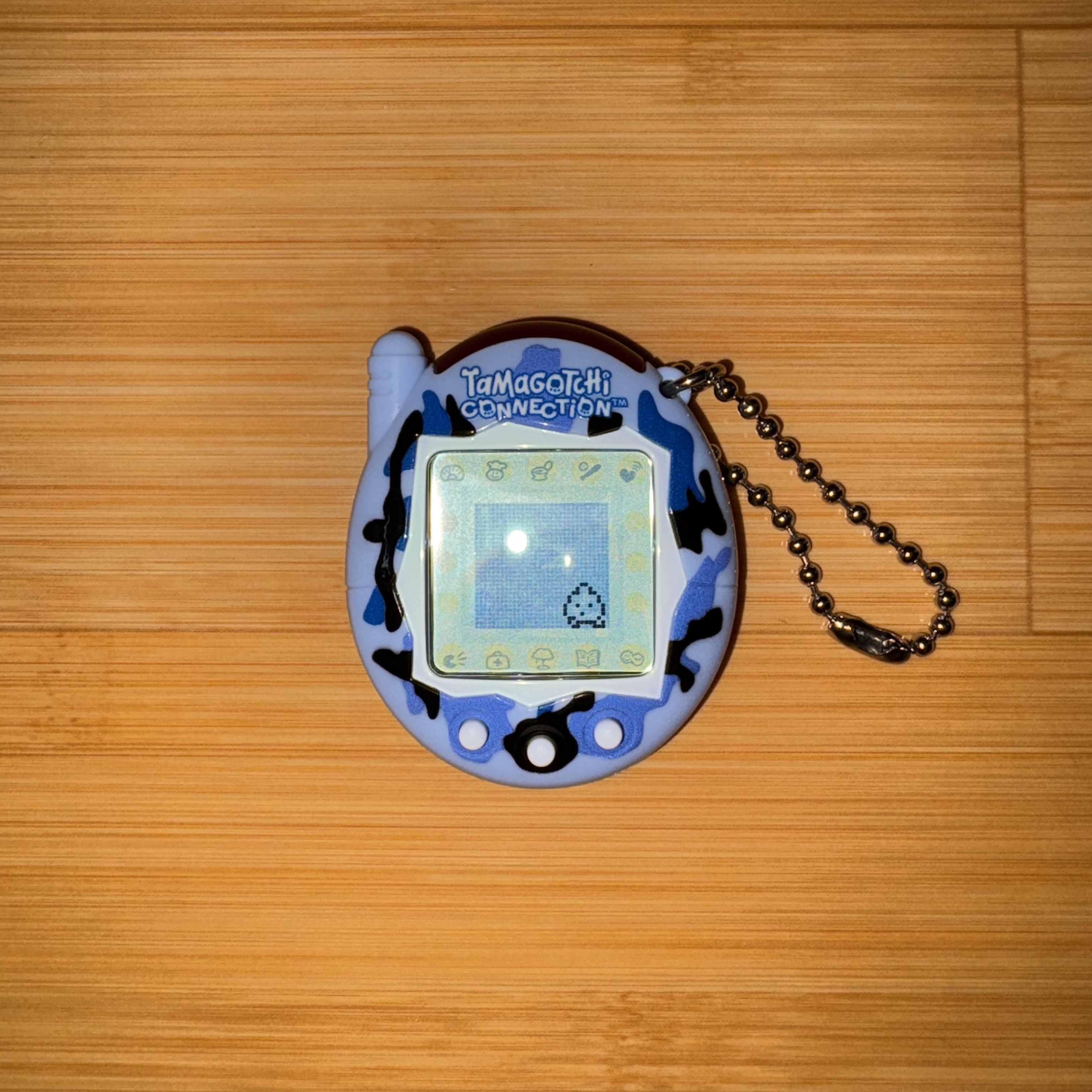 Tamagotchi Connection Wild Blue 착용 스타일