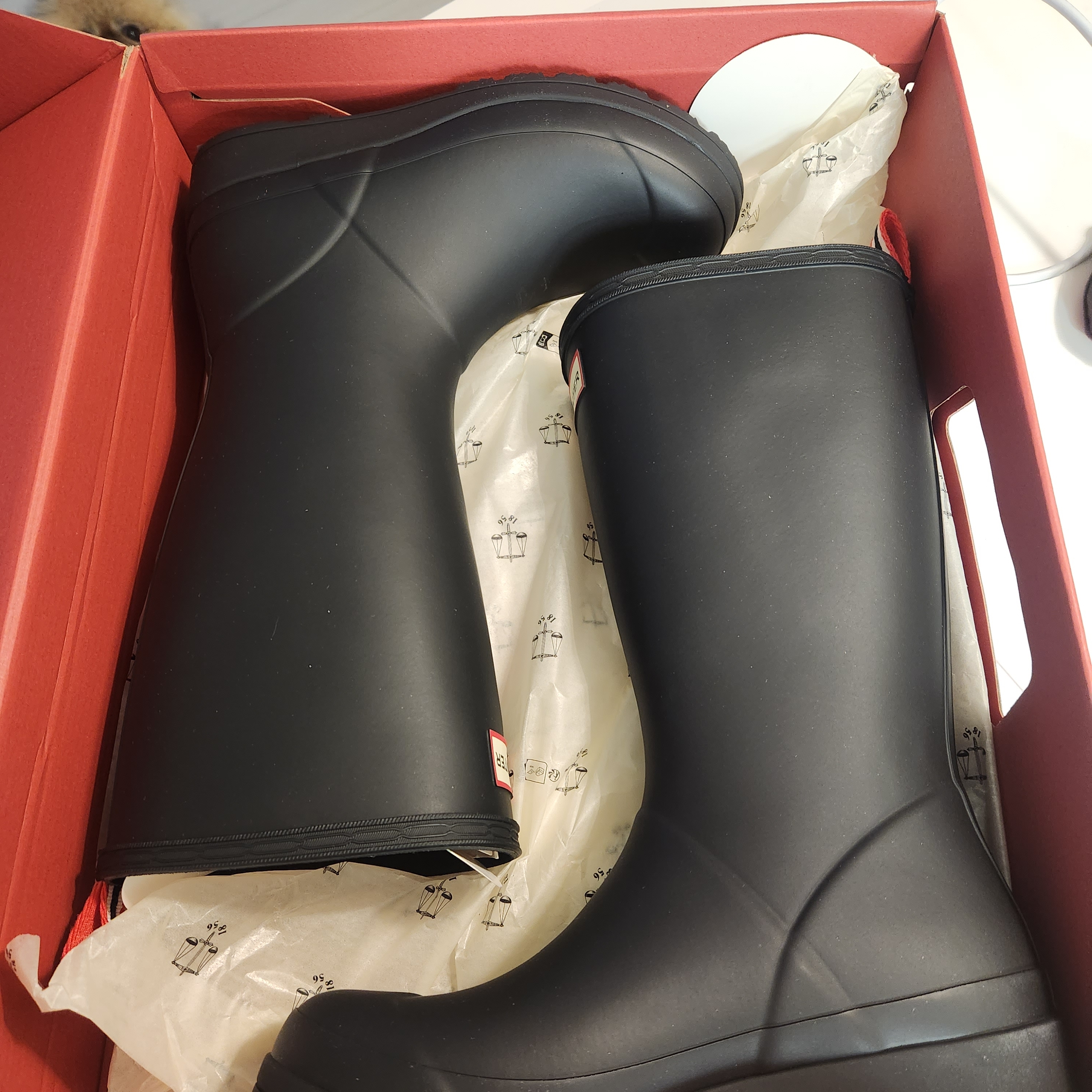 (W) Hunter Play Tall Wellington Rain Boots Black 착용 스타일