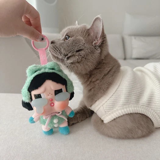 스타일 카드