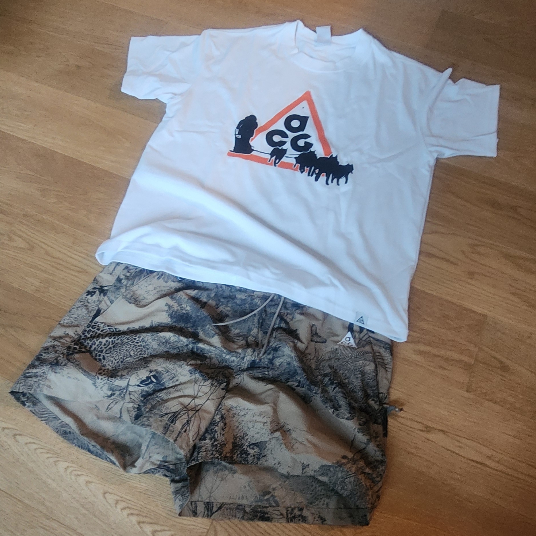 Nike ACG Dri-Fit Dog Sled T-Shirt Summit White - Asia, Nike ACG Reservoir Goat Print Shorts Parachute Beige College Grey - Asia 착용 스타일