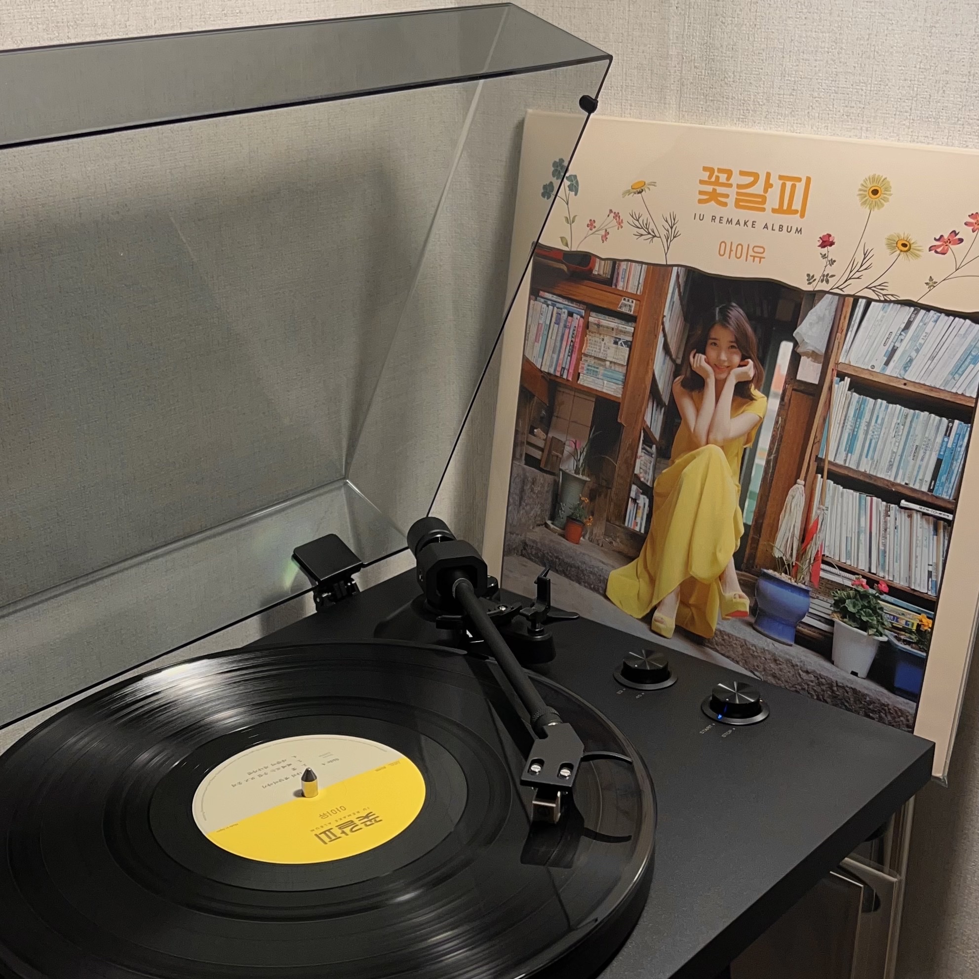 IU Remake Album A Flower Bookmark (Edam Ver.) LP 착용 스타일