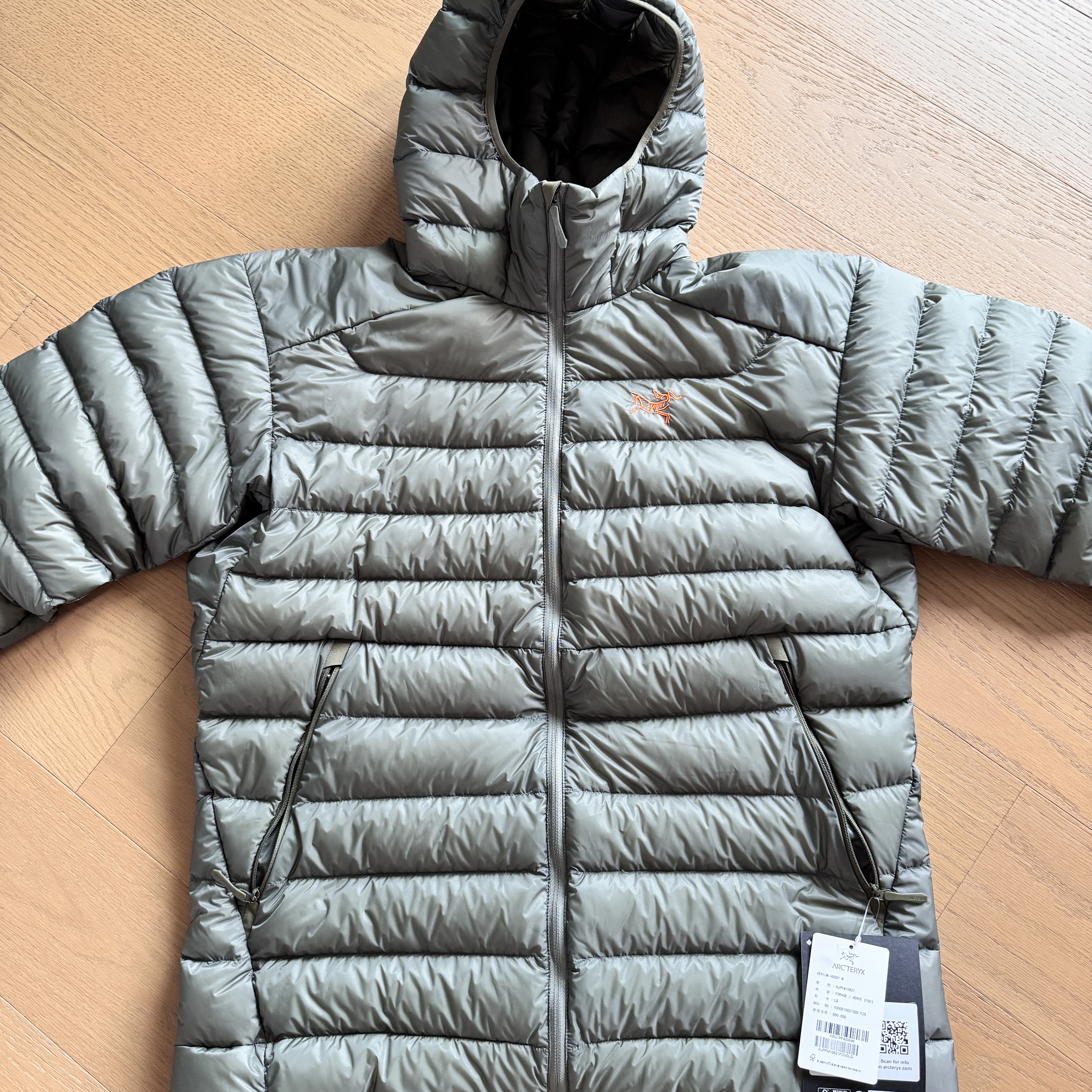 Arc'teryx Cerium Hoody Forage Verve 착용 스타일 - 1