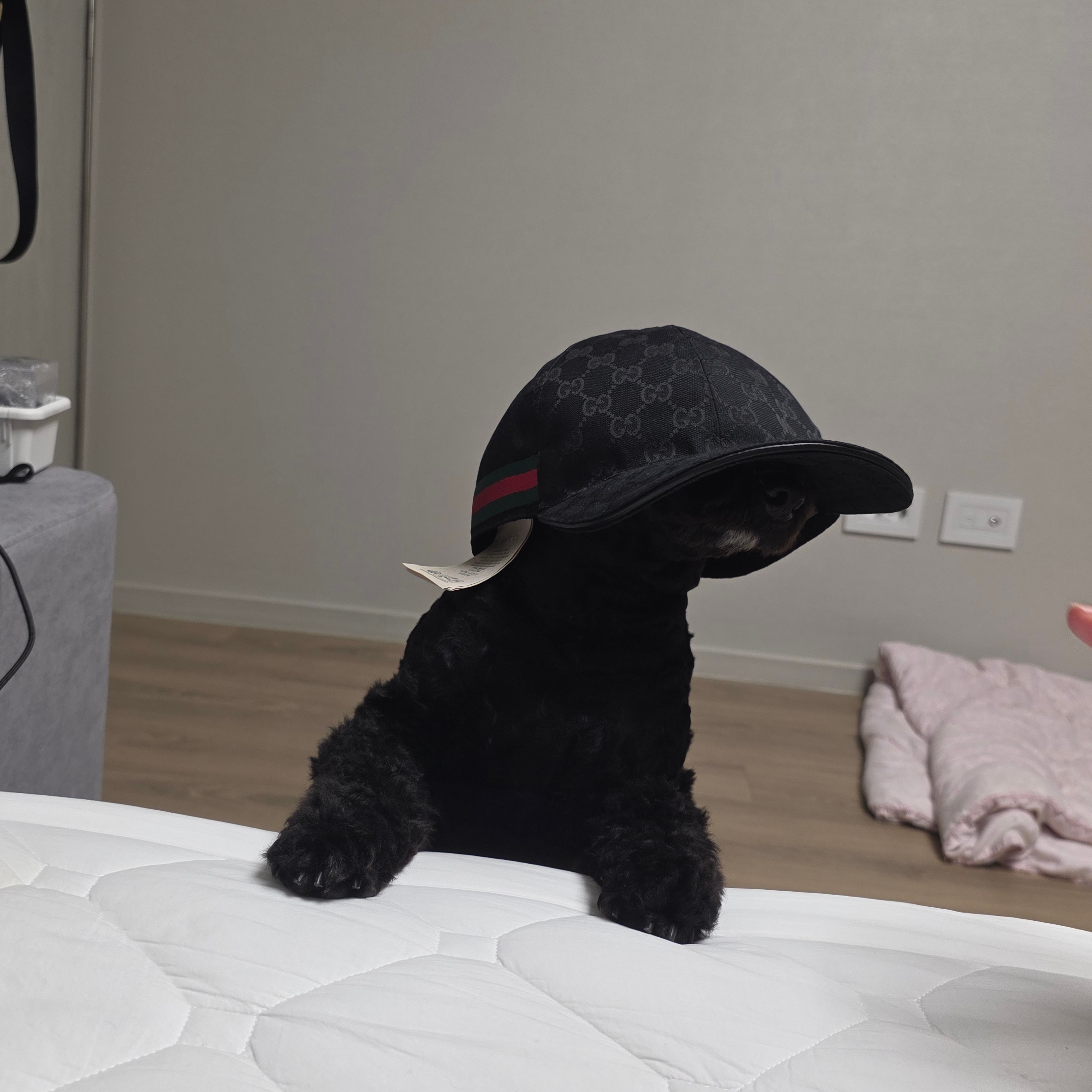 Gucci Original GG Baseball Hat with Web Black 착용 스타일 - 2