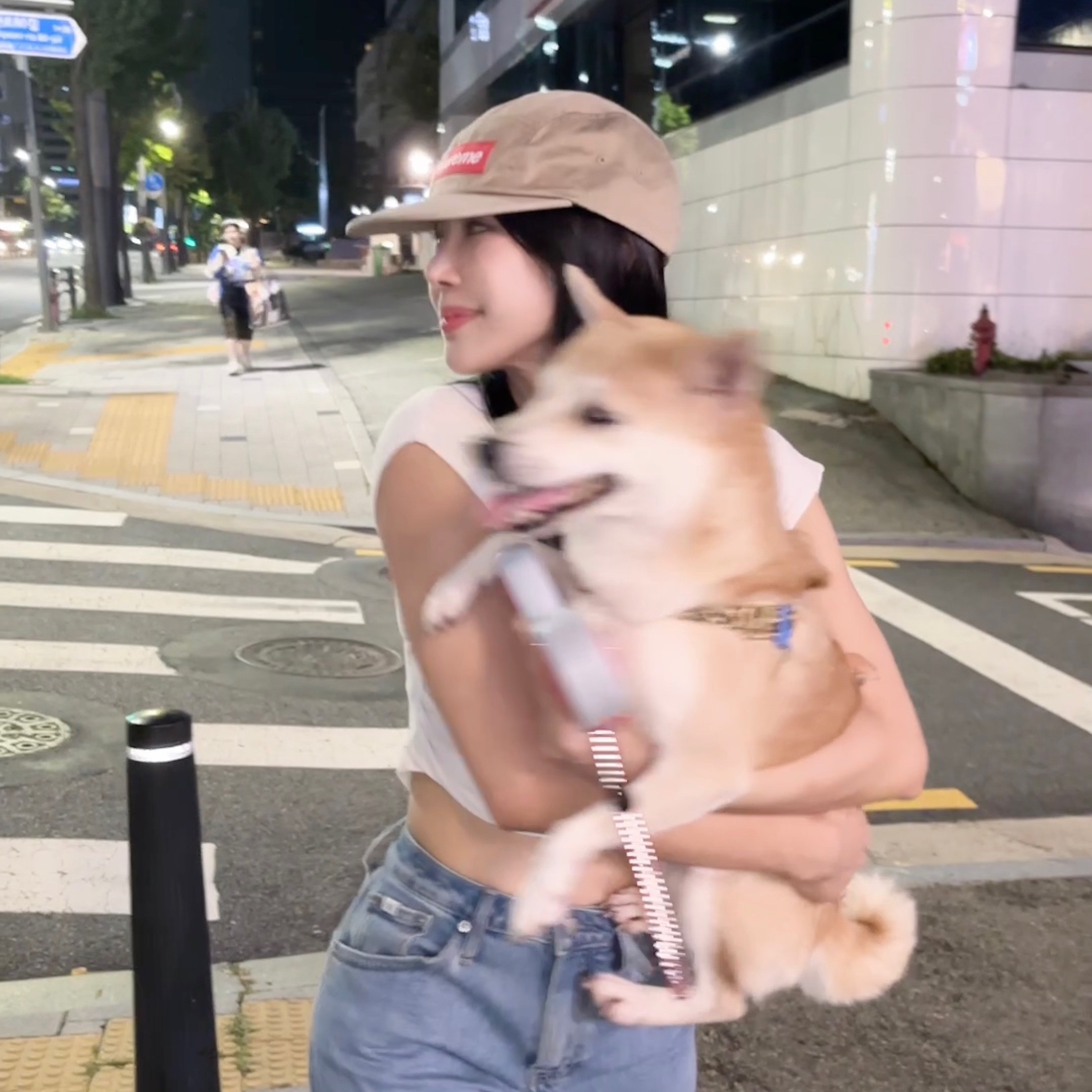 Supreme Washed Chino Twill Camp Cap Tan - 25FW 착용 스타일 - 2