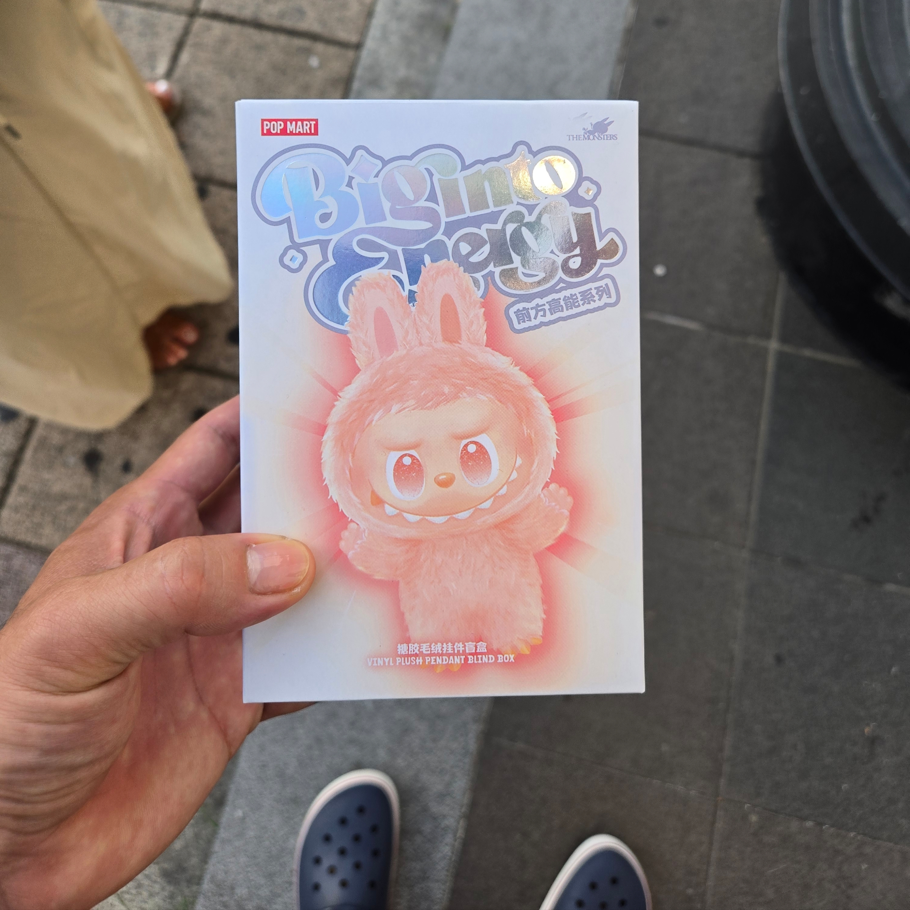 Pop Mart Labubu The Monsters Highlight Series Sealed Case (1 Blind Box) 착용 스타일
