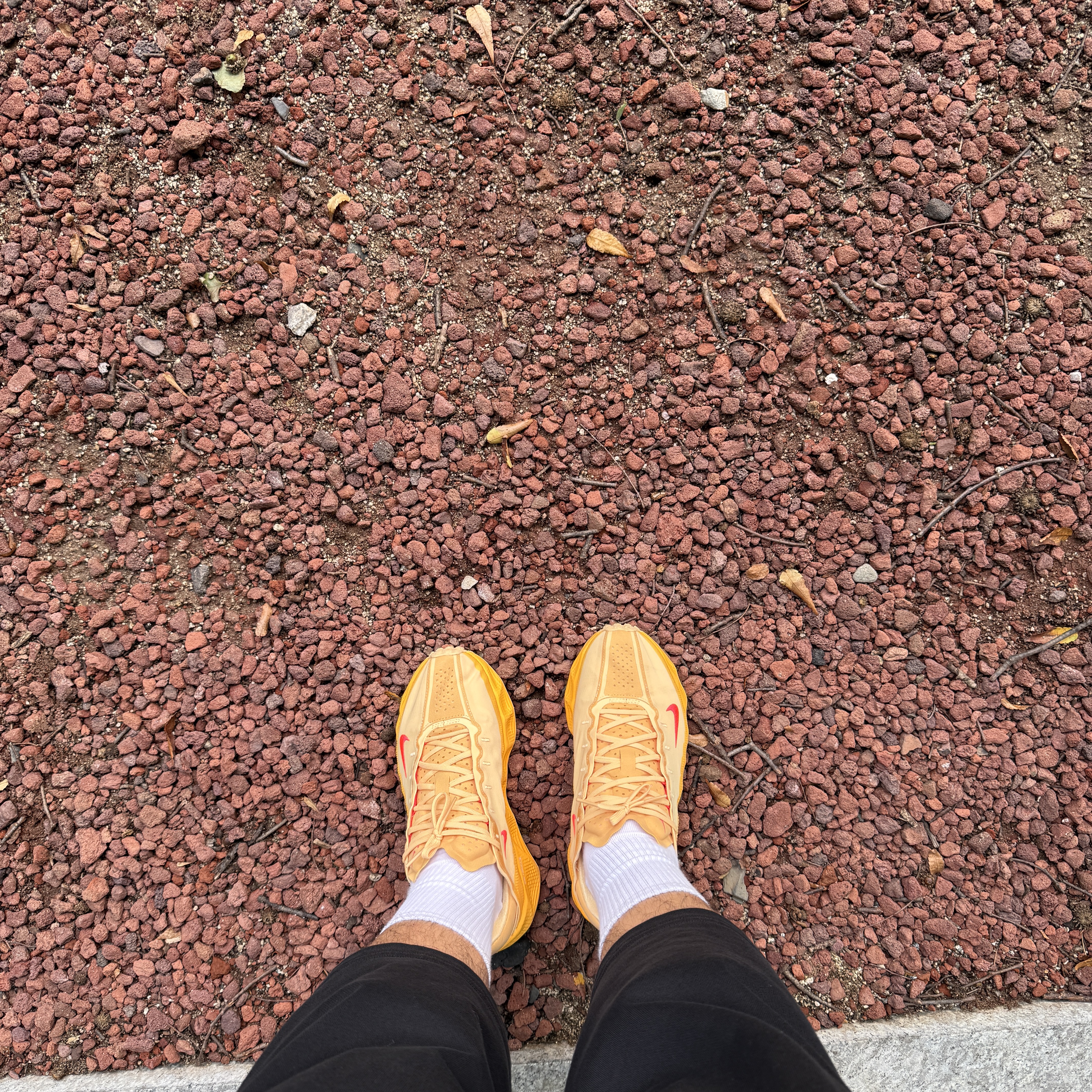 Nike Ava Rover Celestial Gold Bright Crimson 착용 스타일