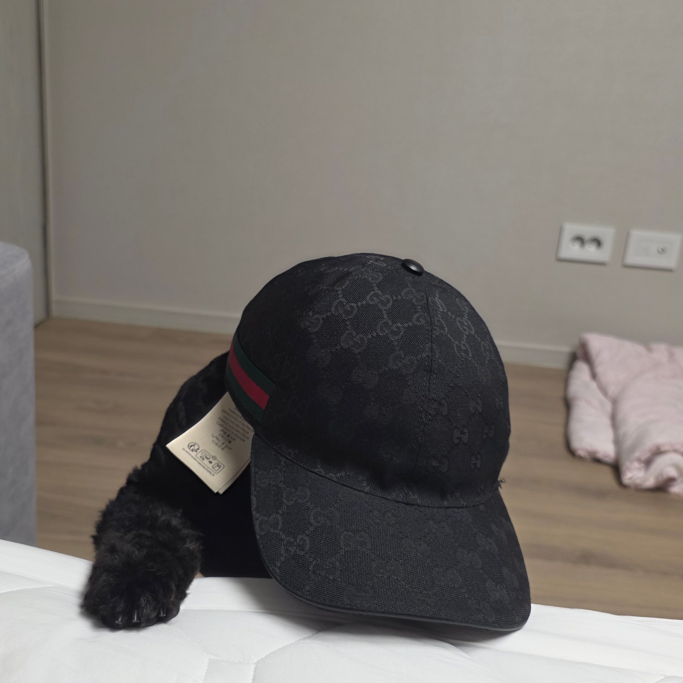 Gucci Original GG Baseball Hat with Web Black 착용 스타일 - 1
