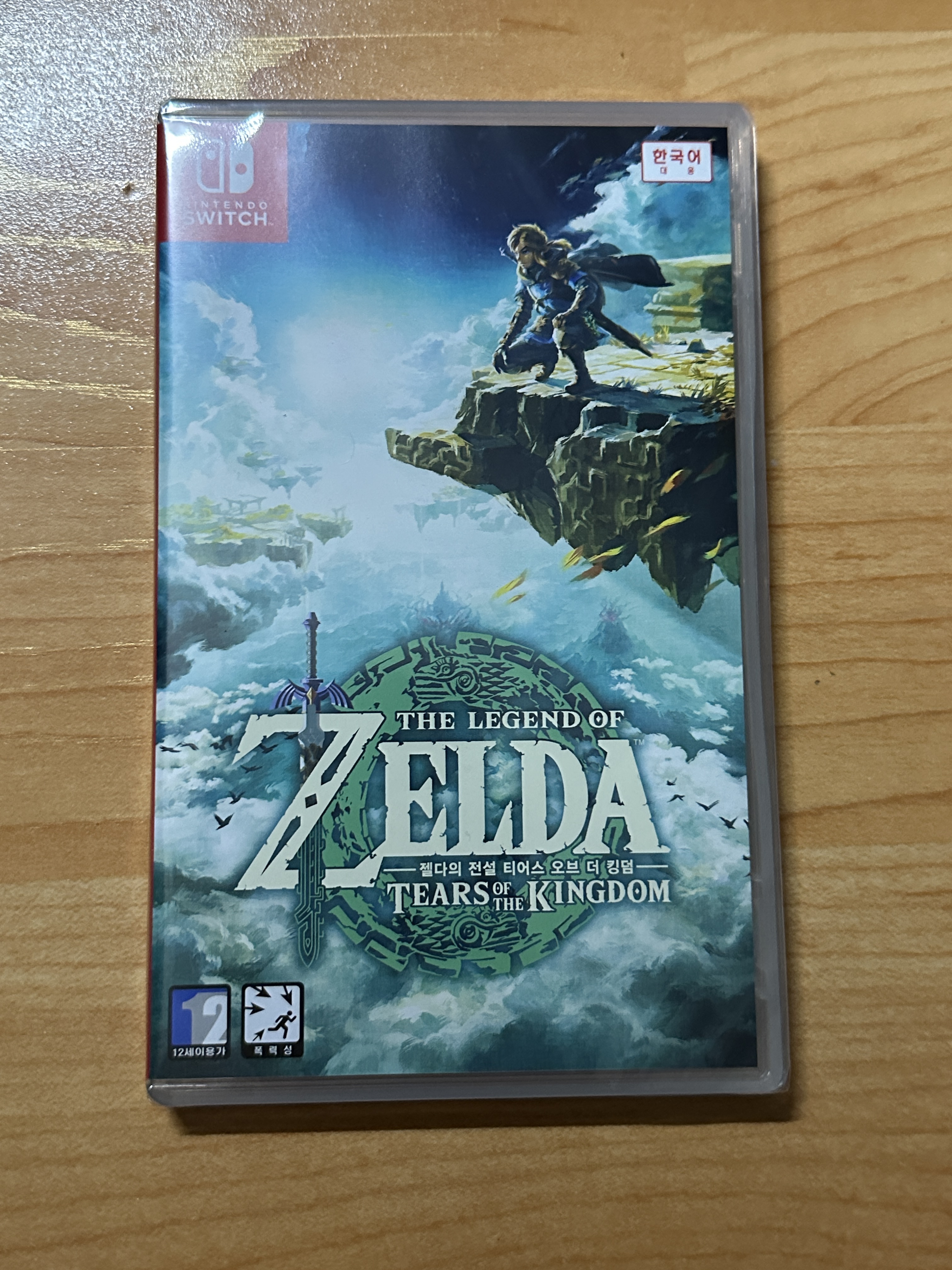 Nintendo Switch Legend of Zelda Tears of the Kingdom 착용 스타일