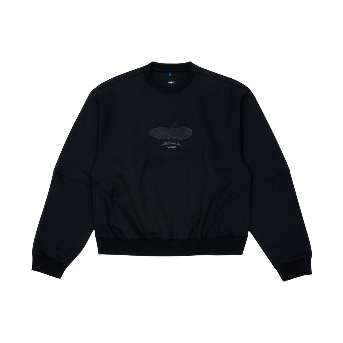 BO01FWSW0105BK Ader Error Press Apple Sweatshirt Product. 41 Noir