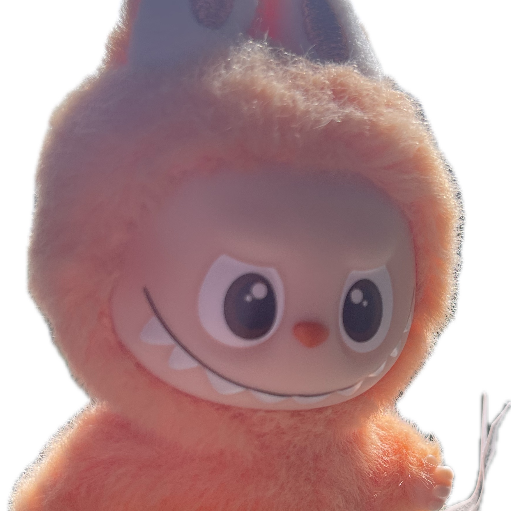 Pop Mart Labubu The Monsters Pin For Love Series Vinyl Plush Pendant (A-M) J (Opened Case) 착용 스타일