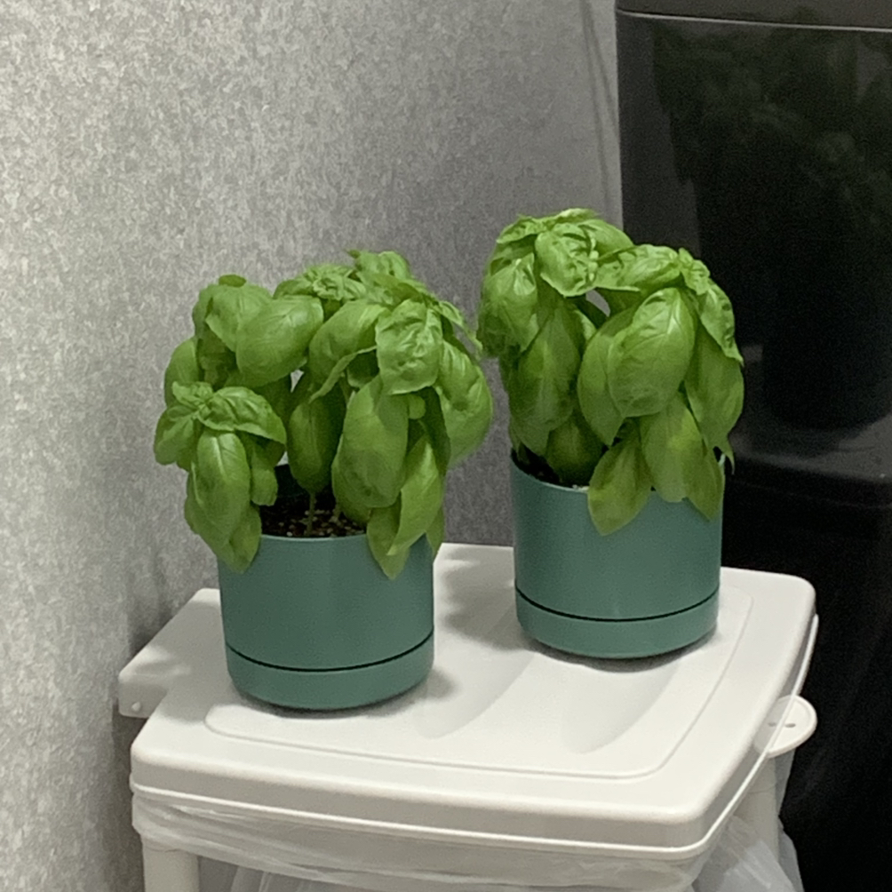 관심 유저 프로필 이미지