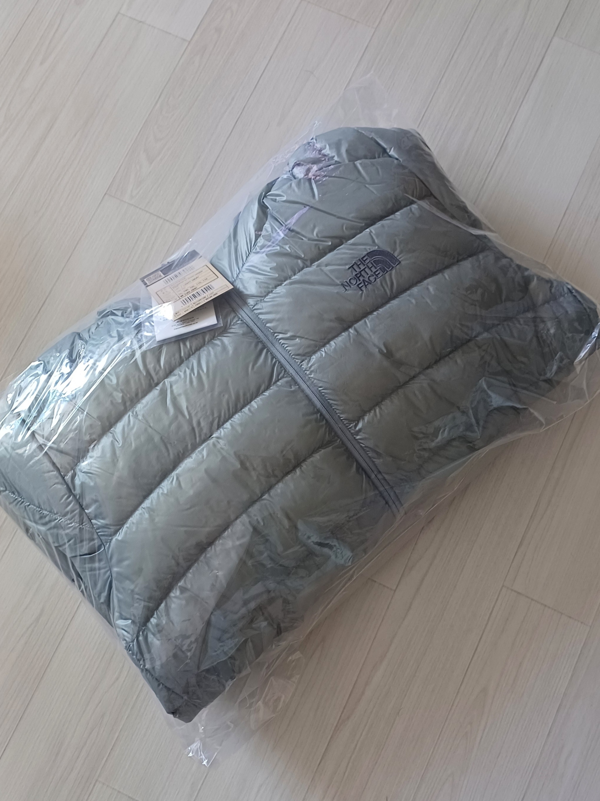 The North Face Matier EX RDS Down Hoodie Light Gray - 25FW 착용 스타일