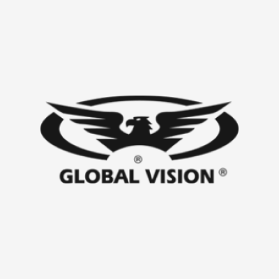 글로벌 비전(Global Vision)
