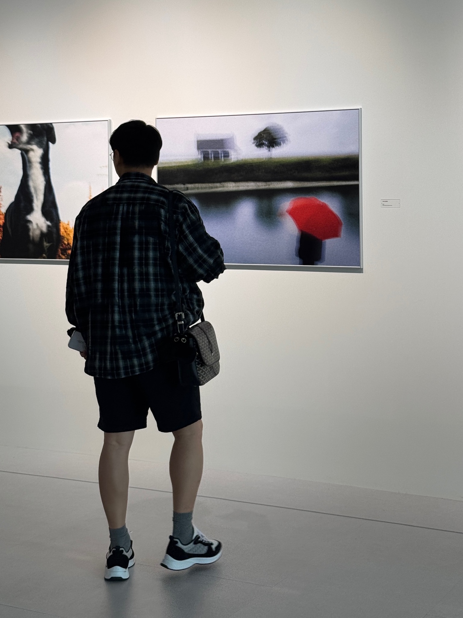 Dior B25 Runner Sneakers Black Suede White Technical Mesh Black Dior Oblique Canvas, Goyard Belvedere MM Bag Black 착용 스타일 - 1