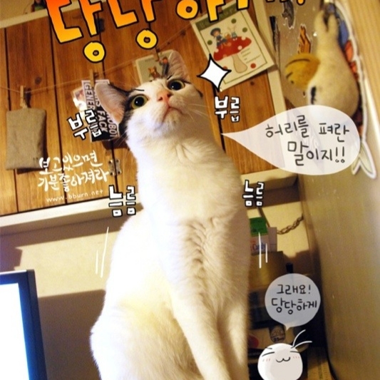 Nike React Element 87 Blue Chill Solar Red 착용 스타일 - 9