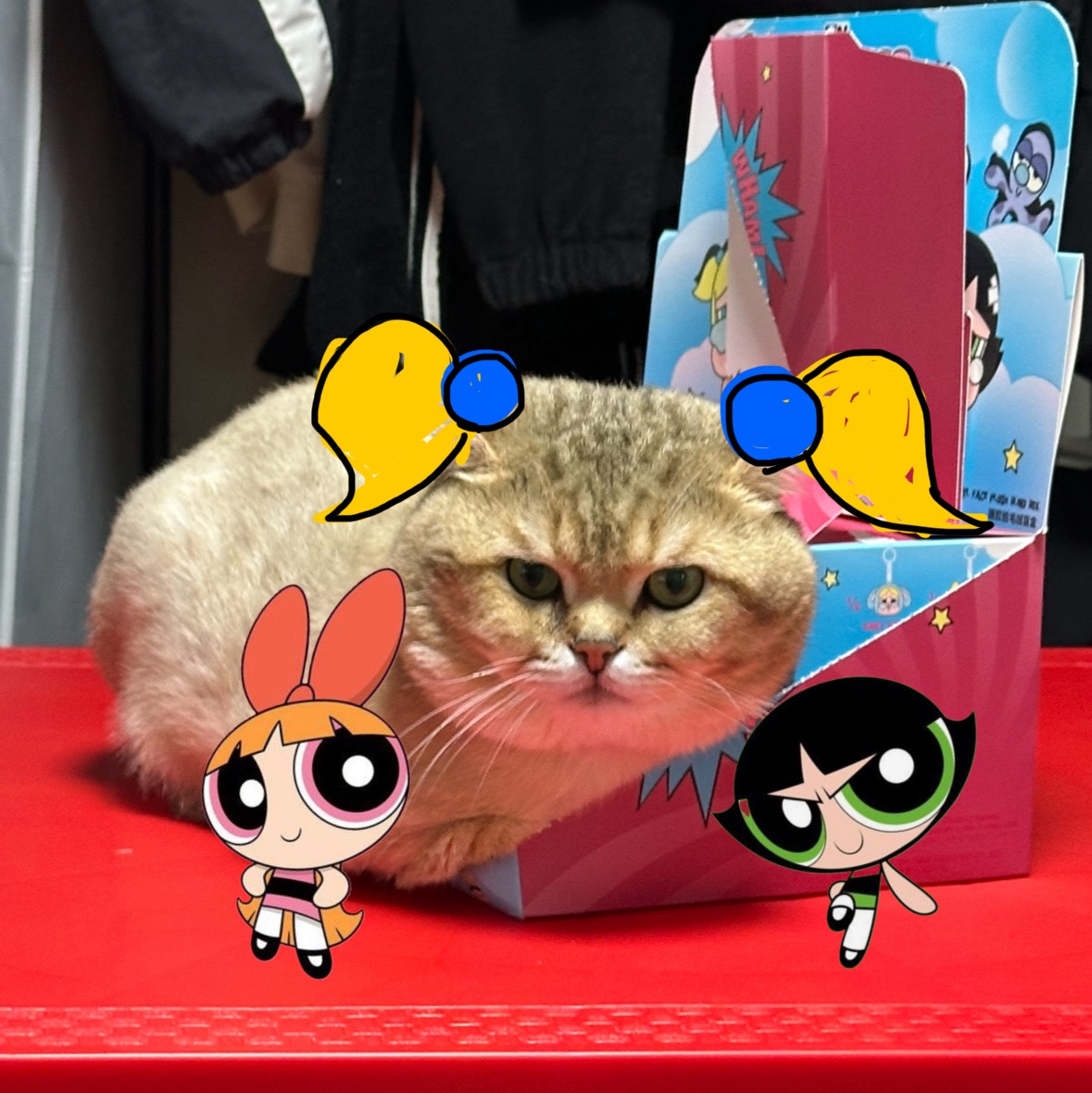 Pop Mart Crybaby x Powerpuff Girls Series Keyring Sealed Case (6 Blind Boxes), Pop Mart Crybaby x Powerpuff Girls Series Keyring Blossom (Opened Case) 착용 스타일 - 2