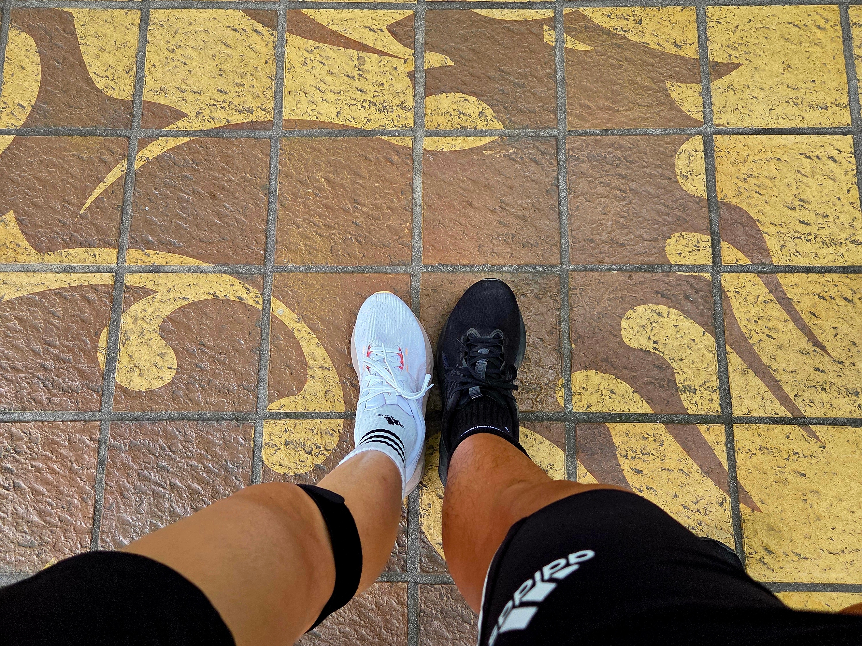 (W) Asics Novablast 5 White Fawn - D Wide, Asics Novablast 5 Black Carrier Grey - 2E Wide 착용 스타일 - 1