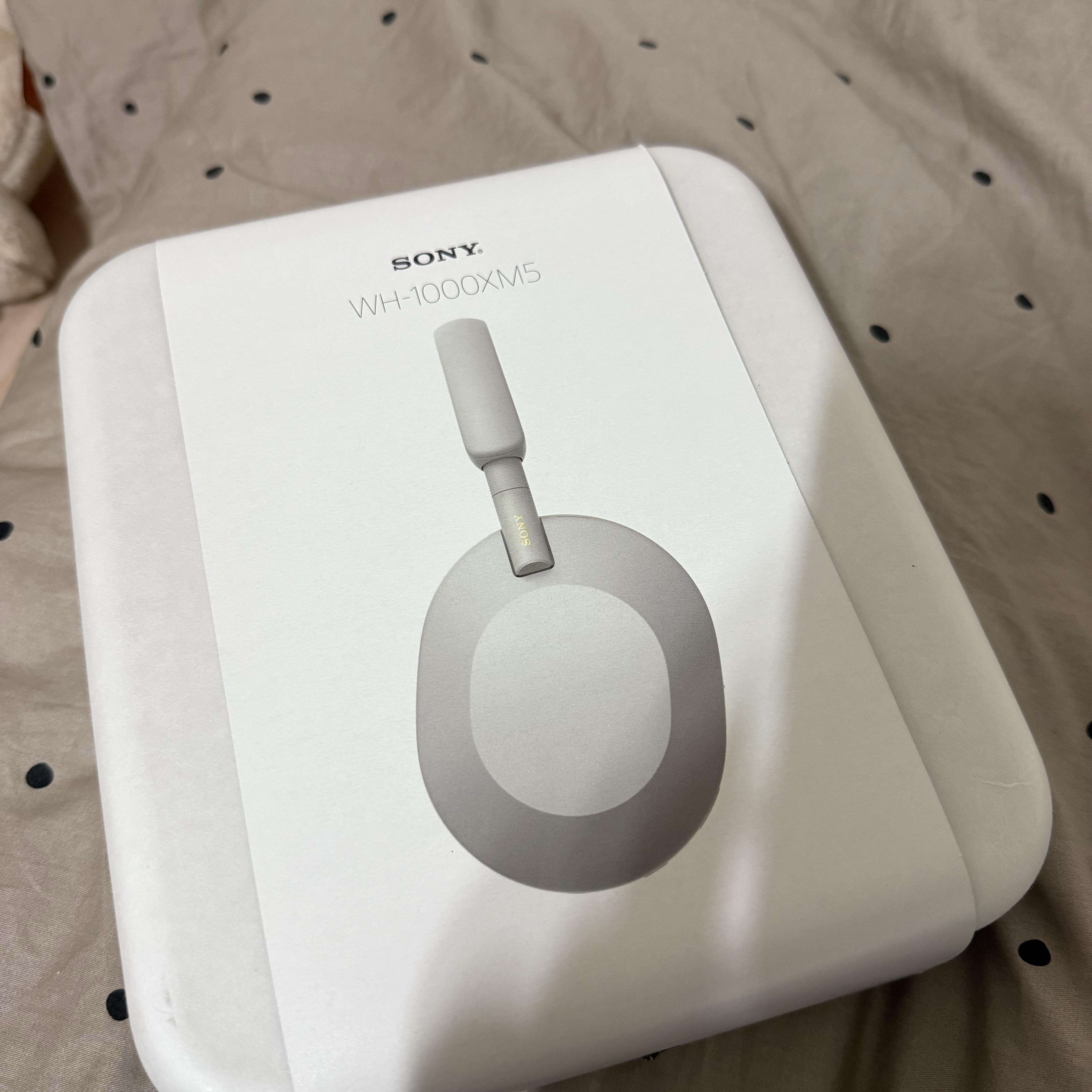 Sony WH-1000XM5 Silver (Korean Ver.) 착용 스타일