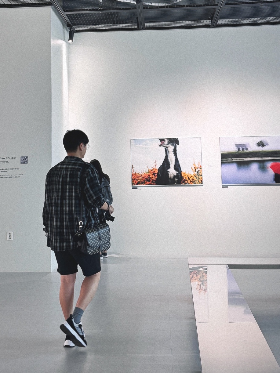 Dior B25 Runner Sneakers Black Suede White Technical Mesh Black Dior Oblique Canvas, Goyard Belvedere MM Bag Black 착용 스타일 - 2