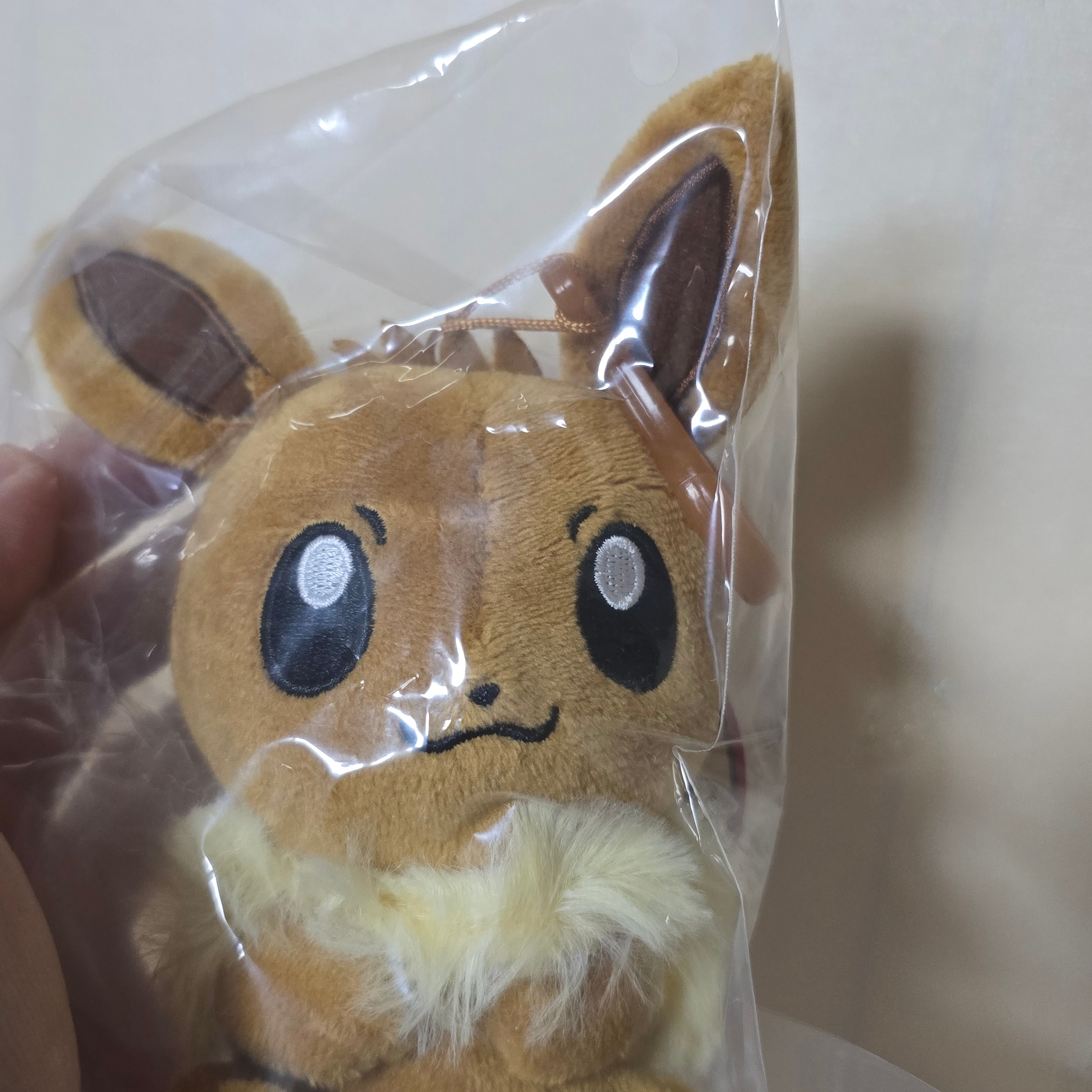 Many a Little Pokemon Cutey Pop Evee Keyring 착용 스타일