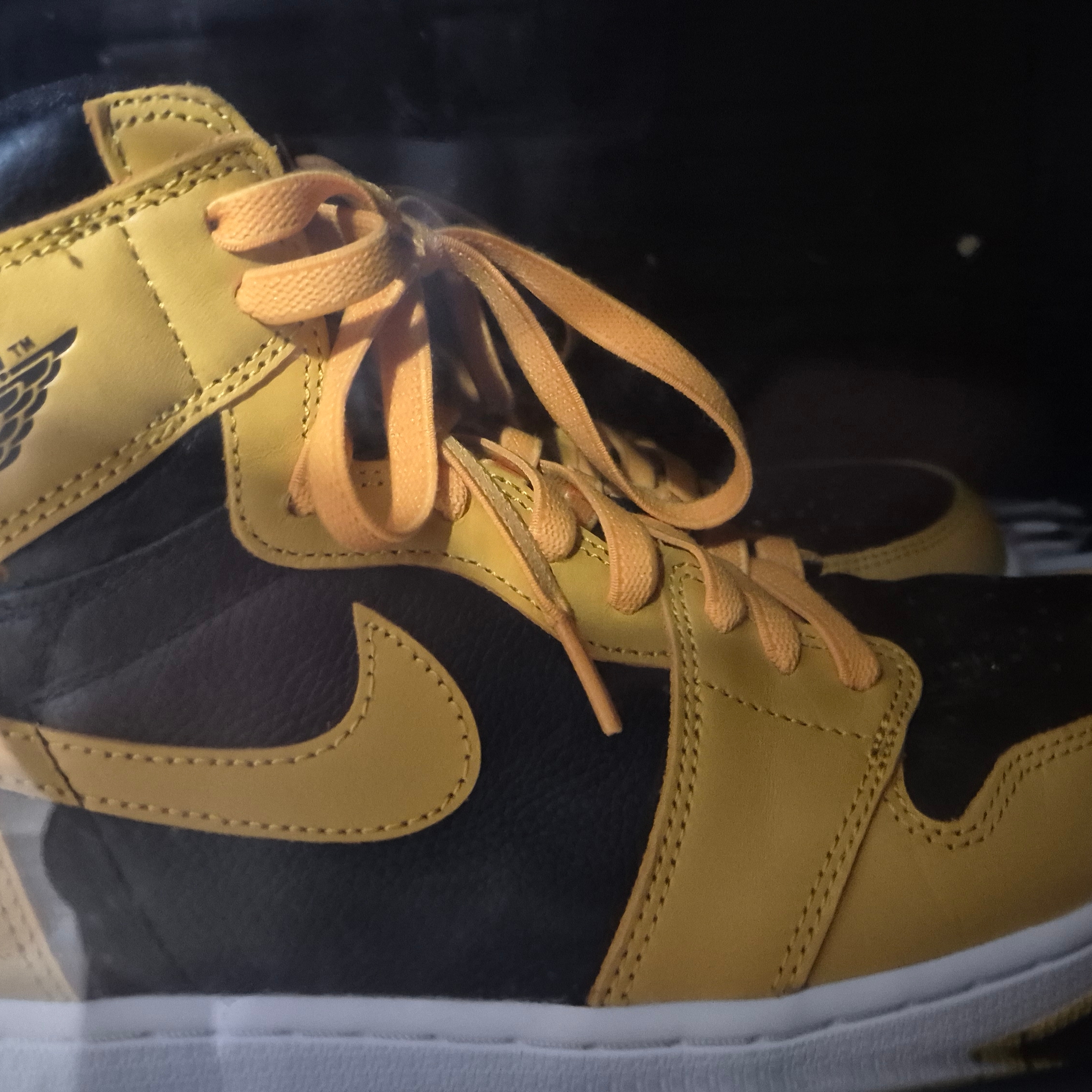 Jordan 1 Retro High OG Pollen 착용 스타일