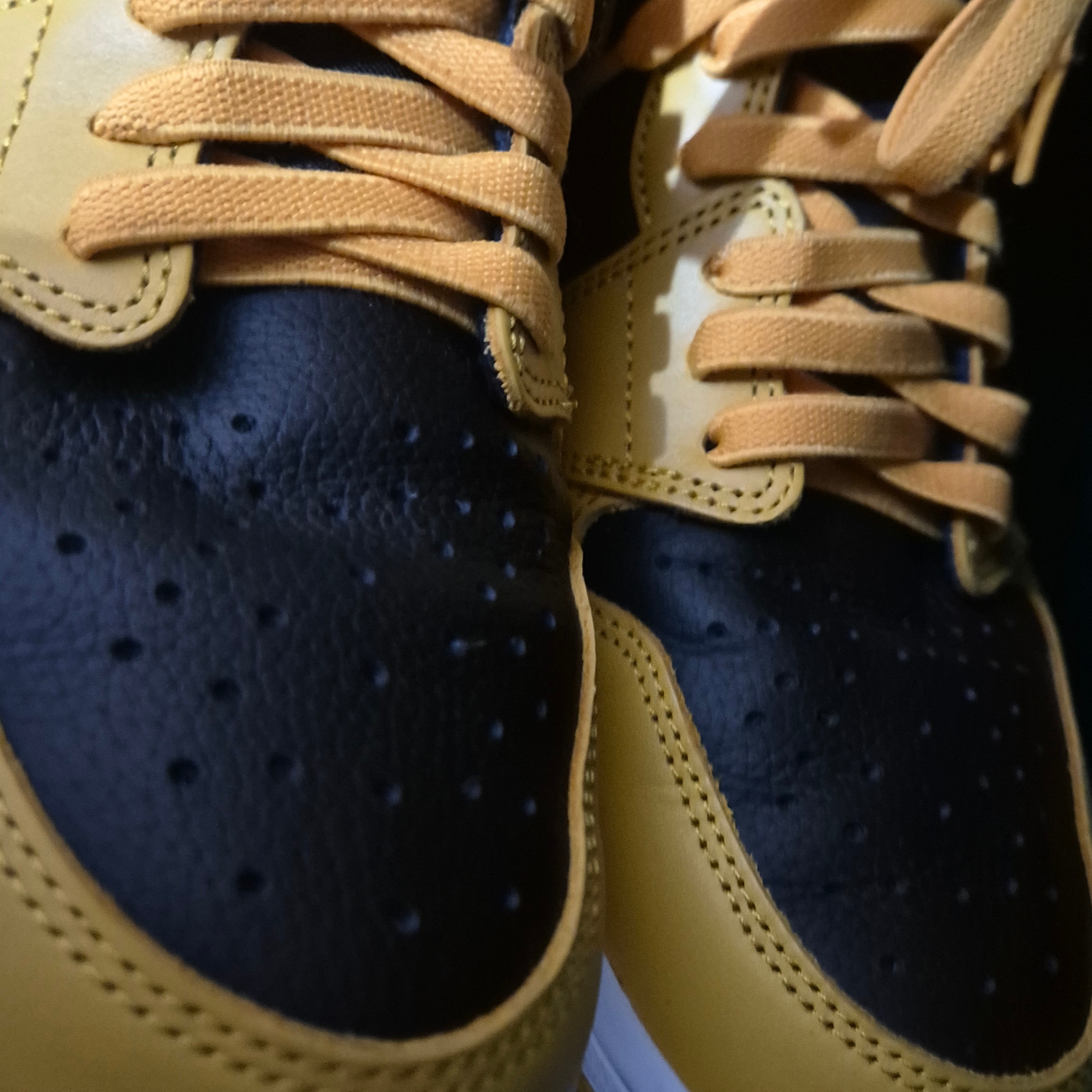Jordan 1 Retro High OG Pollen 착용 스타일