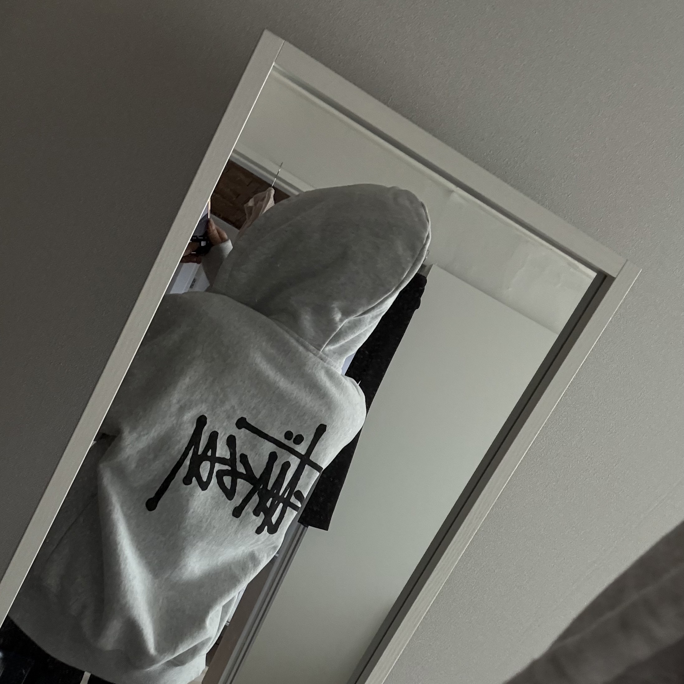 Stussy Basic Stussy Zip Hoodie Ash Heather 착용 스타일 - 2