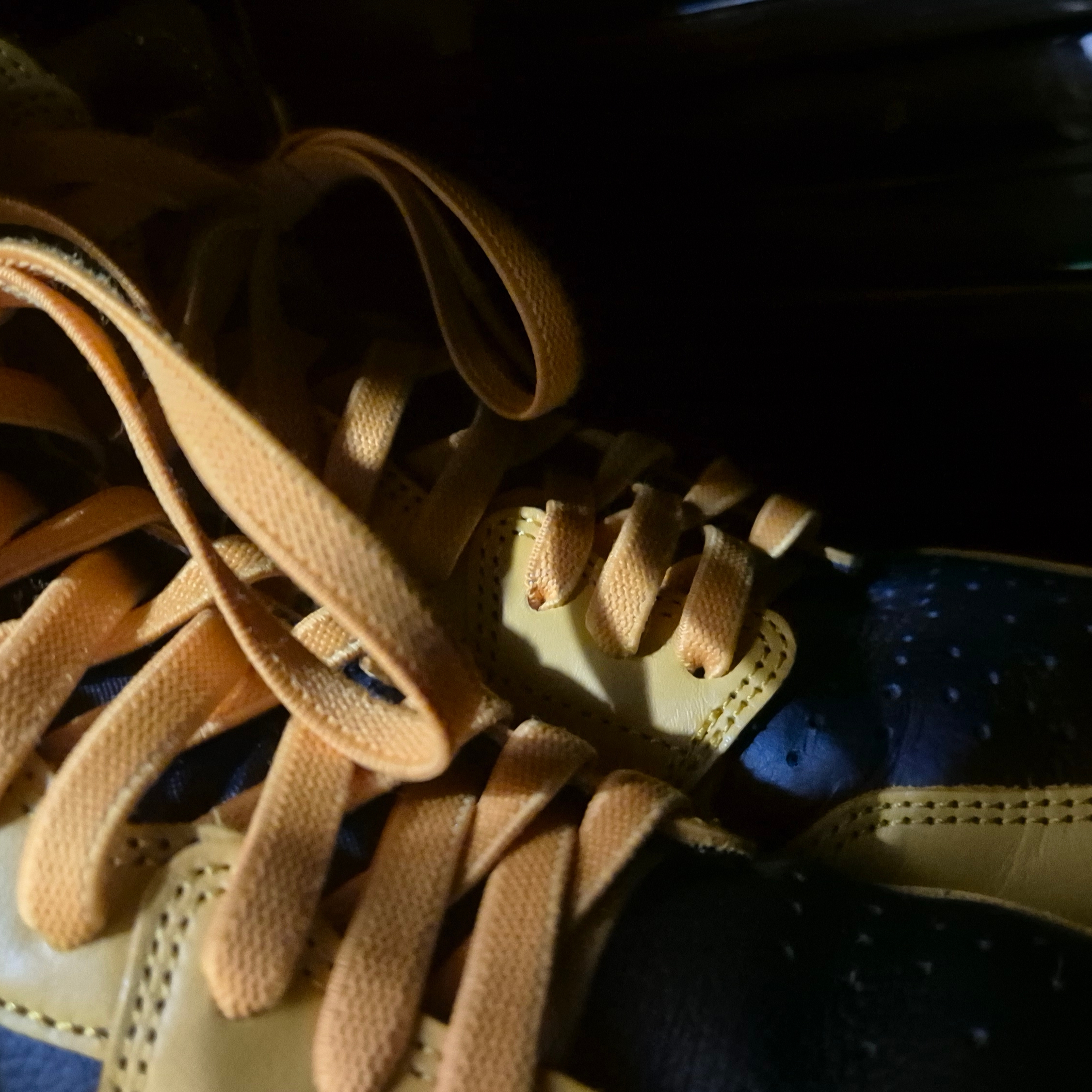 Jordan 1 Retro High OG Pollen 착용 스타일