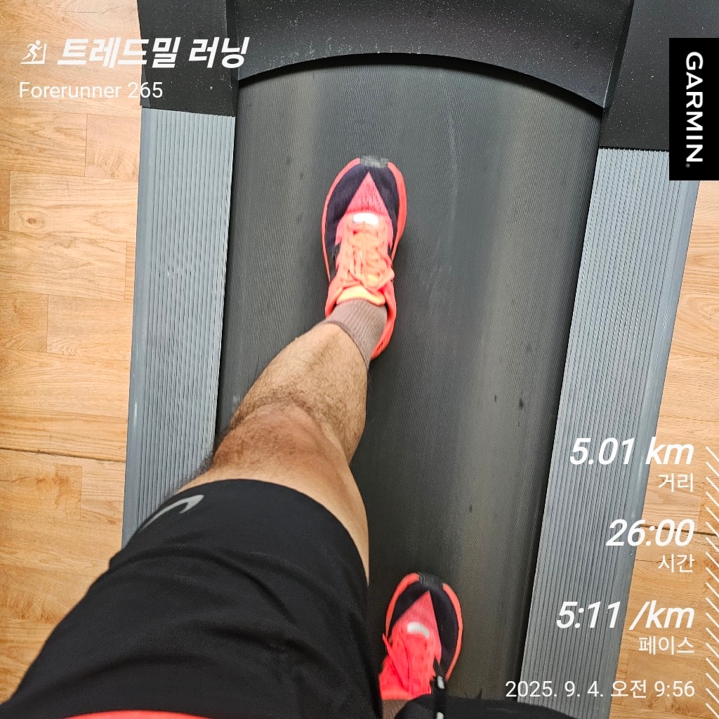New Balance FuelCell Rebel v5 Urgent Red Black Silver Metallic - 2E Wide 착용 스타일 - 2