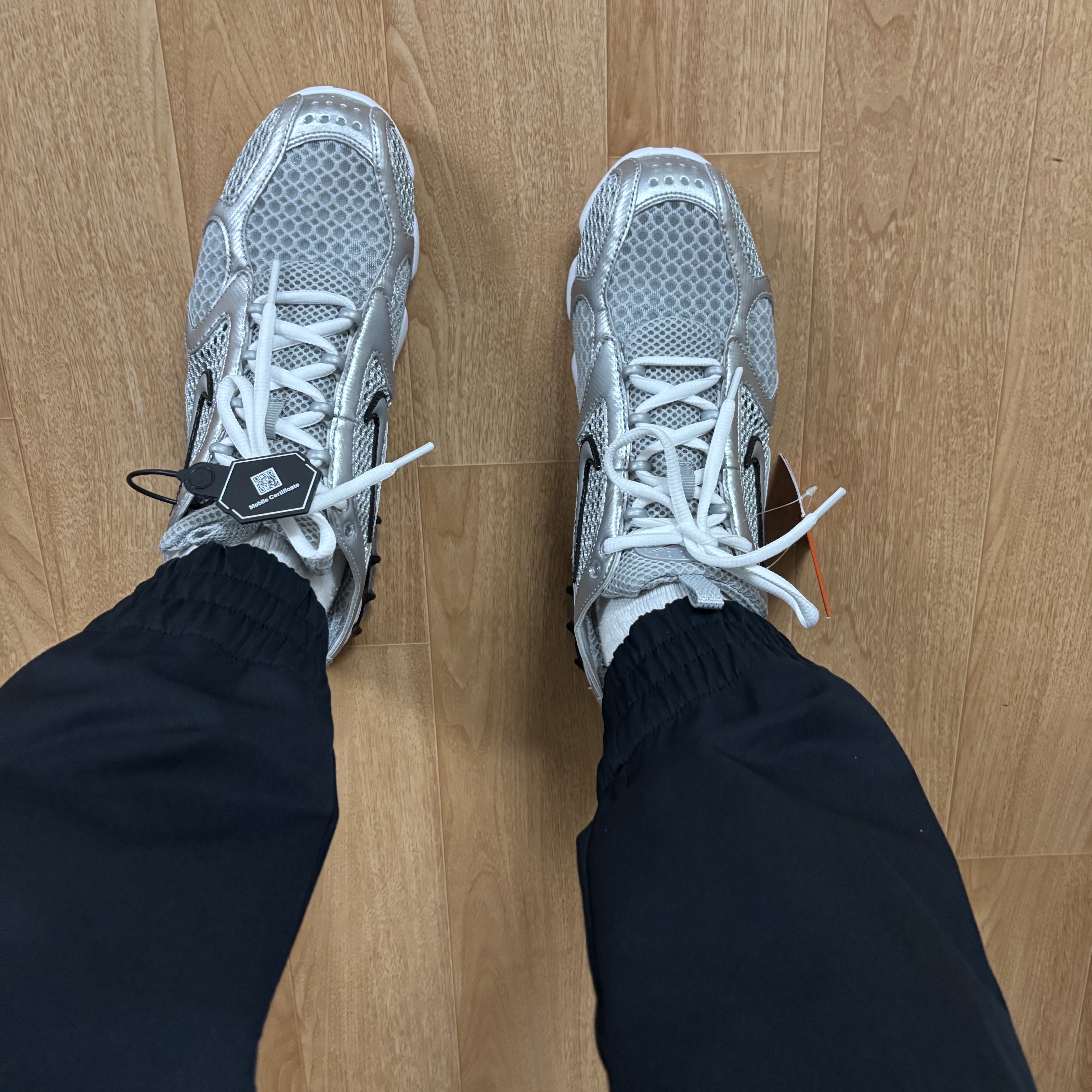 Nike Air Zoom Spiridon Cage 2 Metallic Silver 착용 스타일