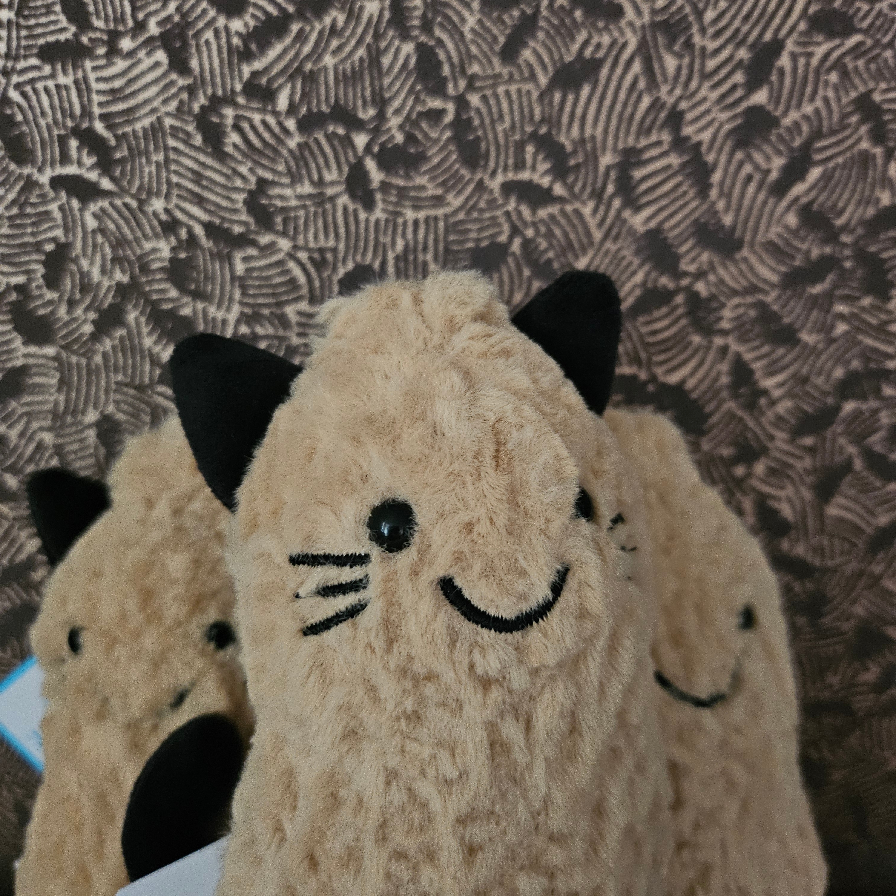 Jellycat Amuseables Peanut Cat Outfit Brown 착용 스타일