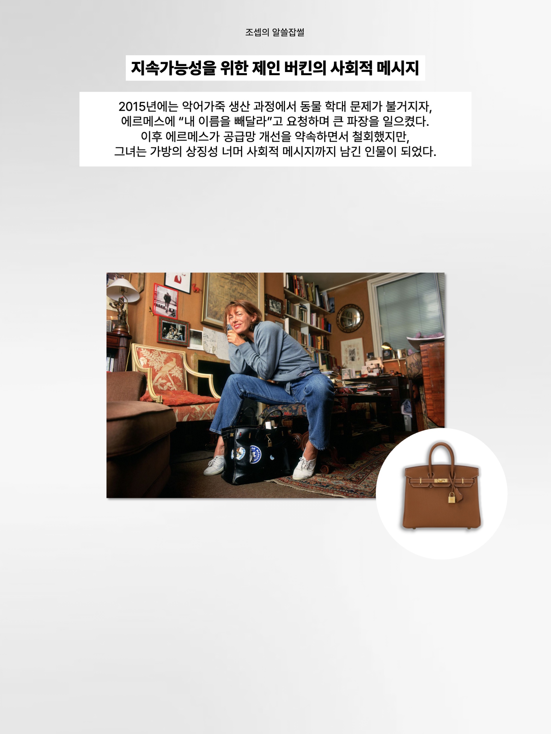 Hermes Birkin 25 Bag Togo & Gold 착용 스타일 - 9