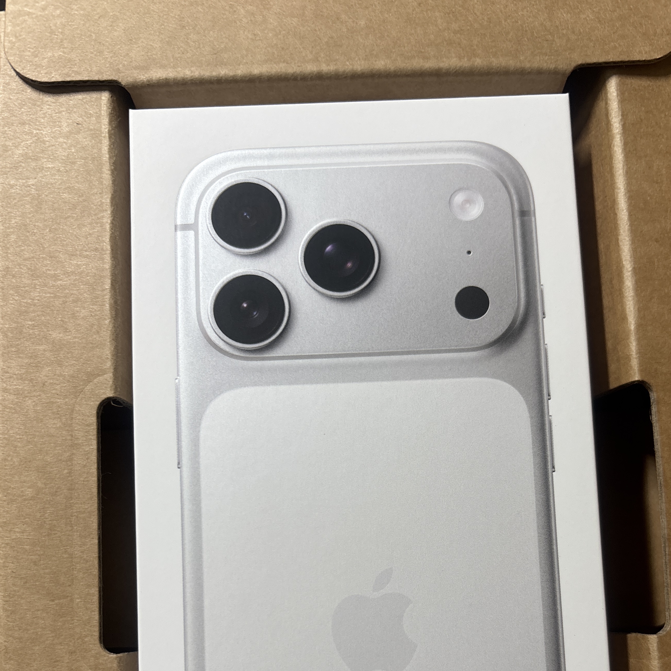Apple iPhone 17 Pro 256GB Silver 착용 스타일